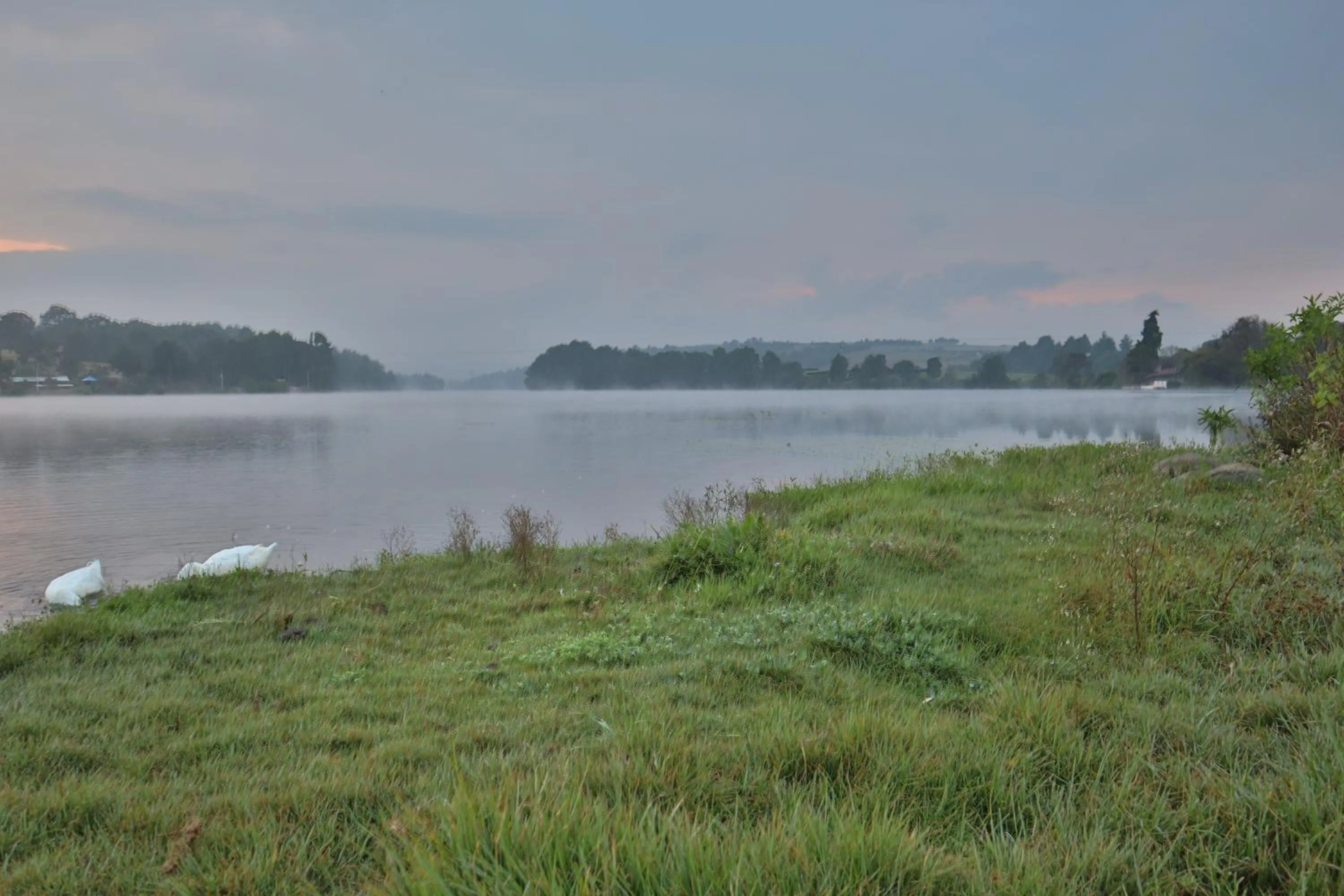Natural landscape in MASIA ARAMENI