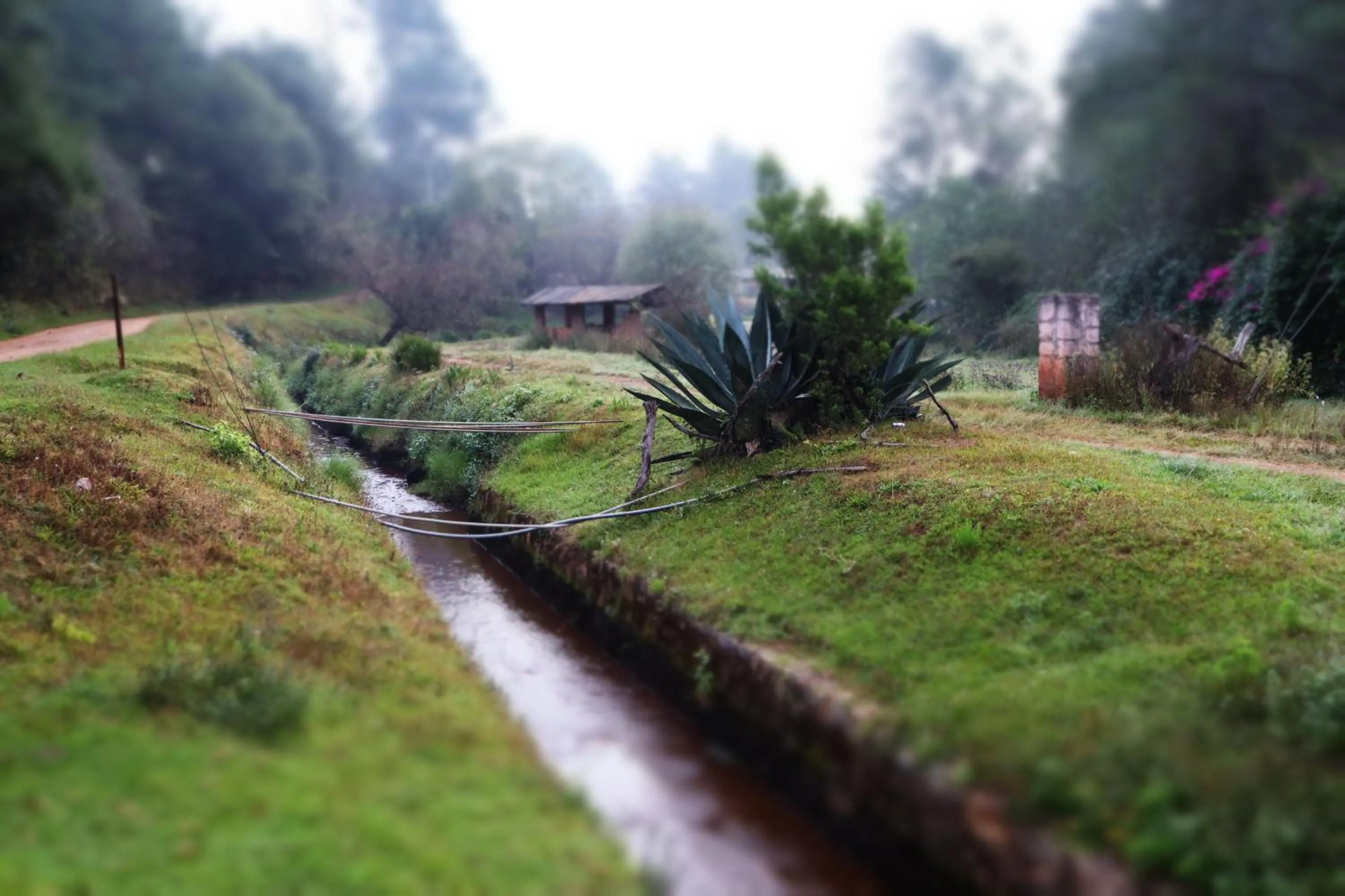 Natural landscape in MASIA ARAMENI