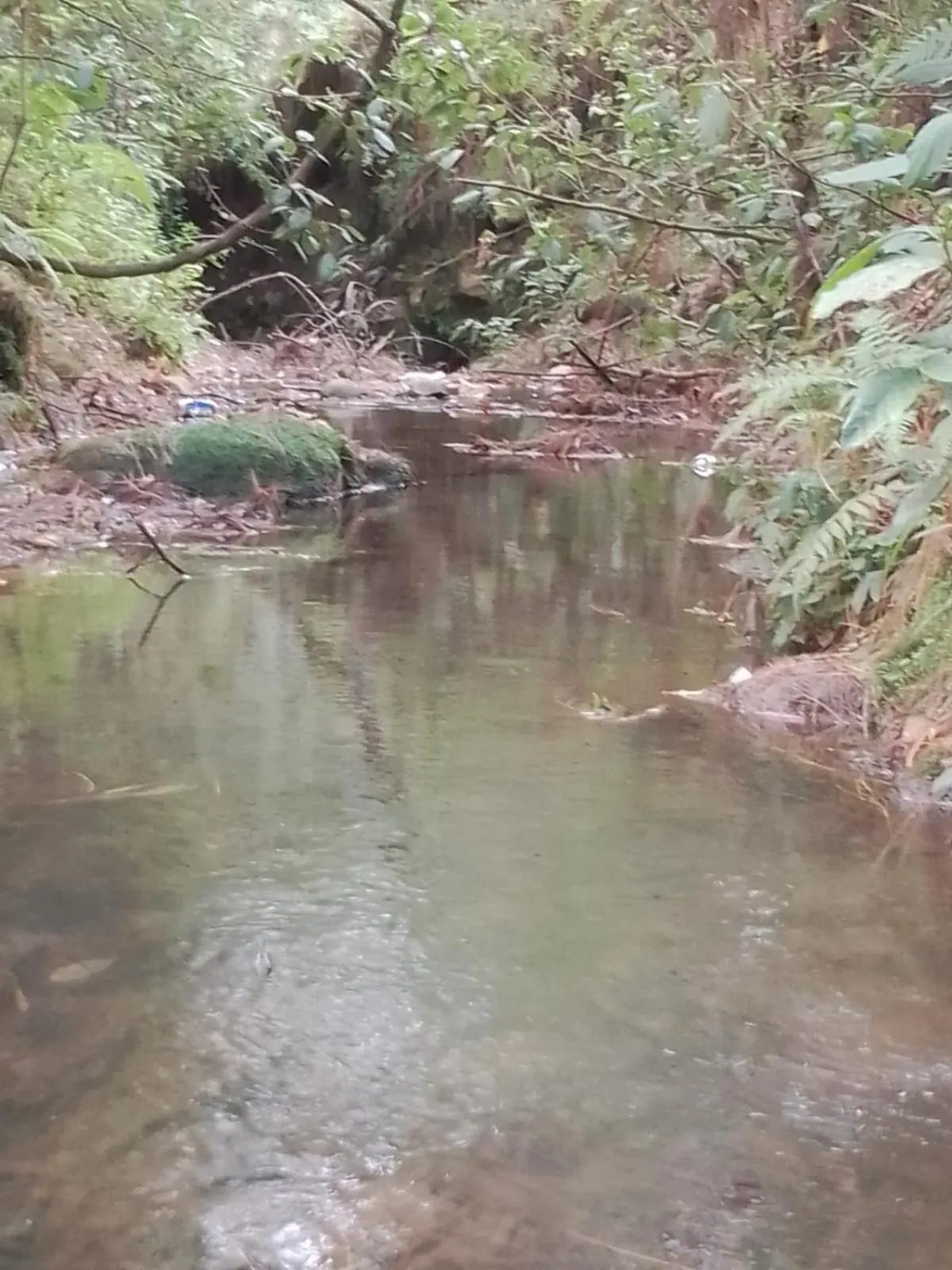 Natural landscape in MASIA ARAMENI