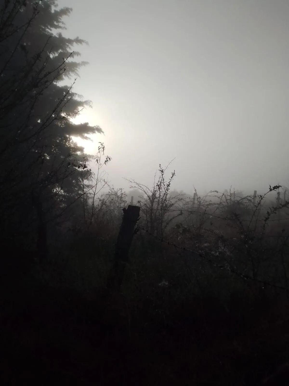 Natural landscape in MASIA ARAMENI