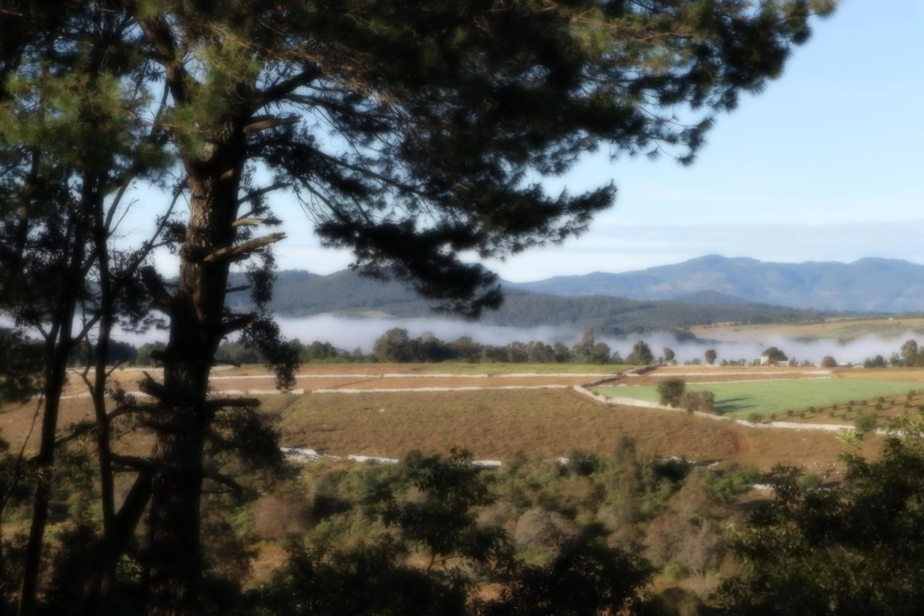 Natural landscape in MASIA ARAMENI