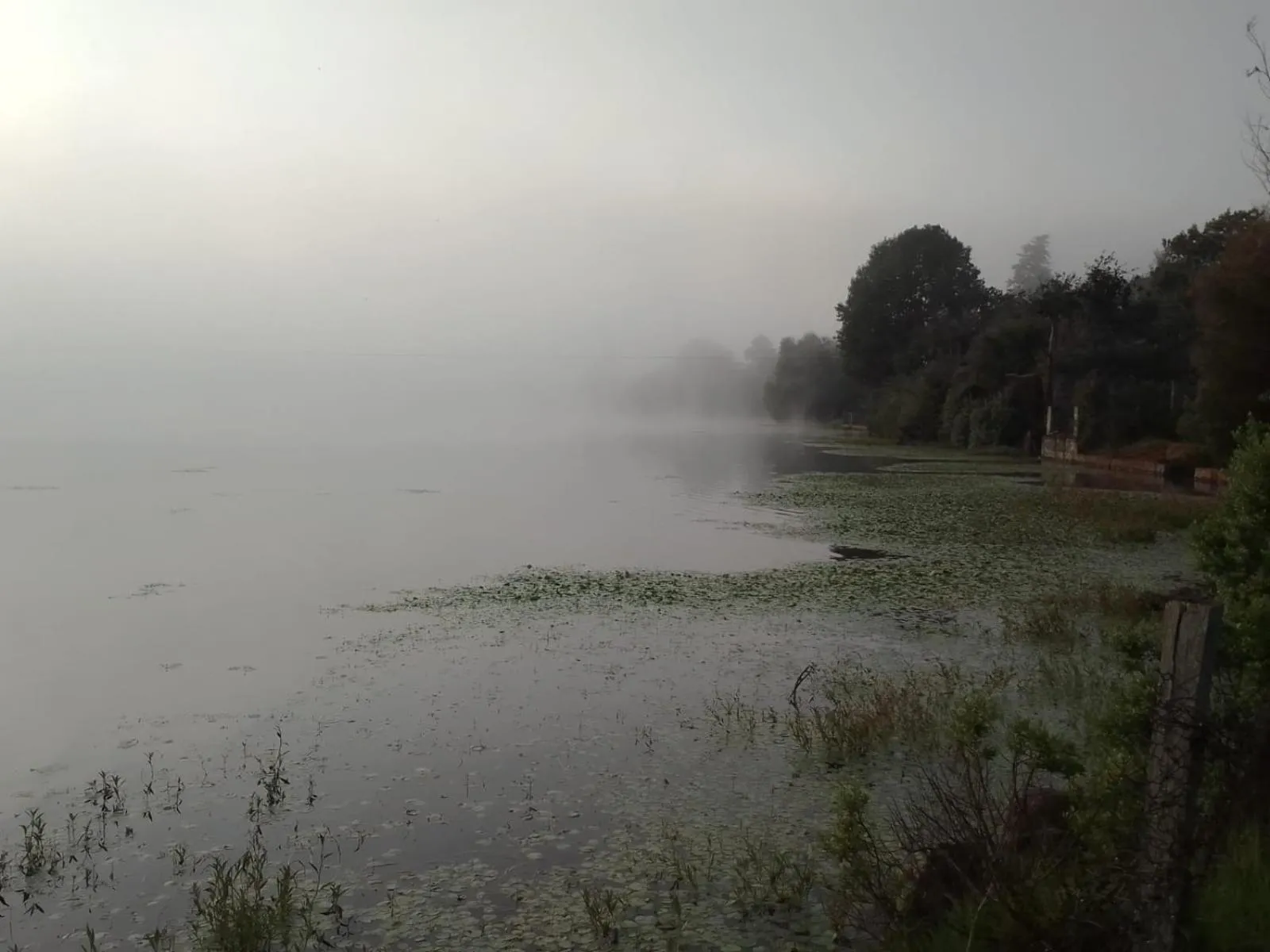 Natural landscape in MASIA ARAMENI