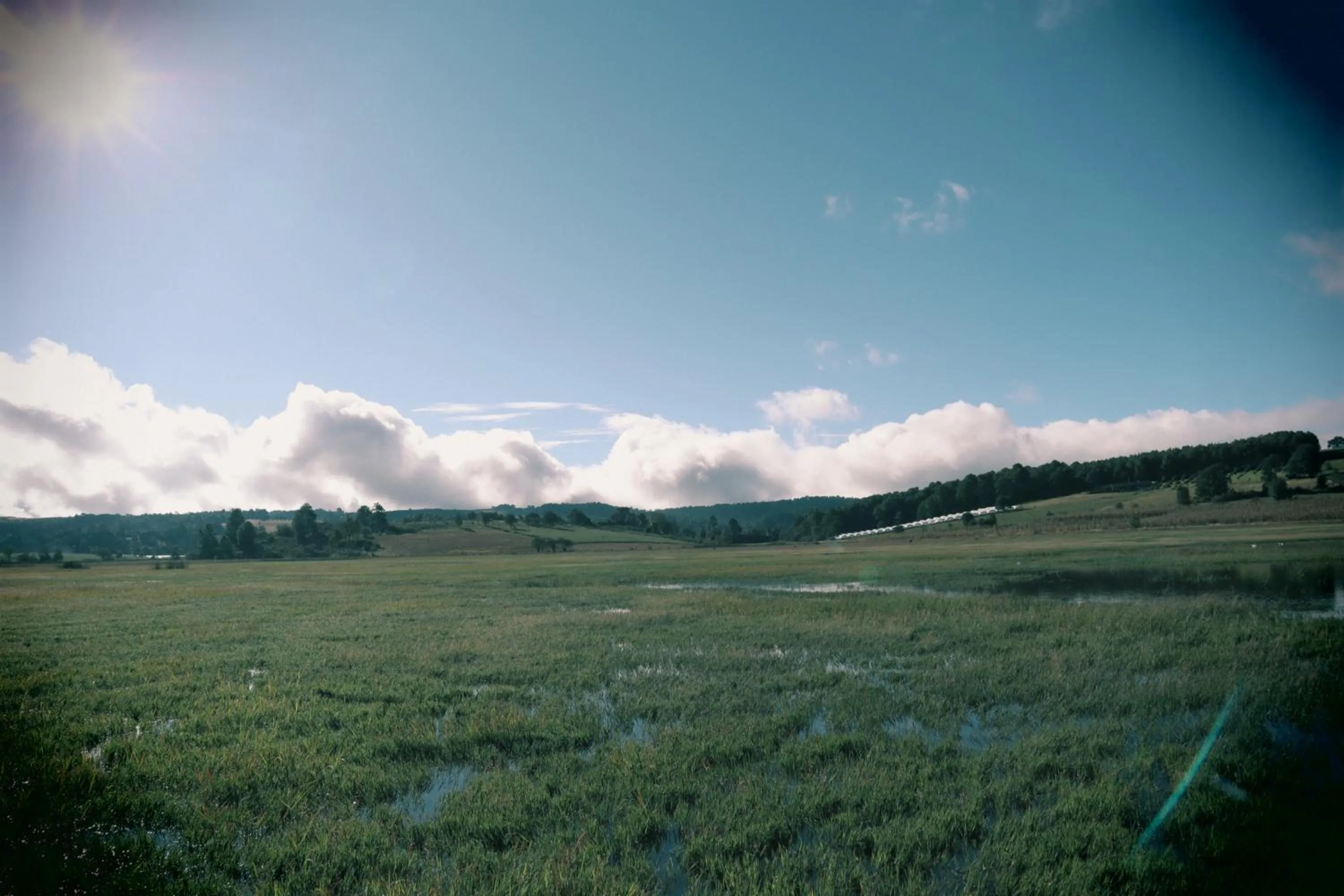 Natural landscape in MASIA ARAMENI