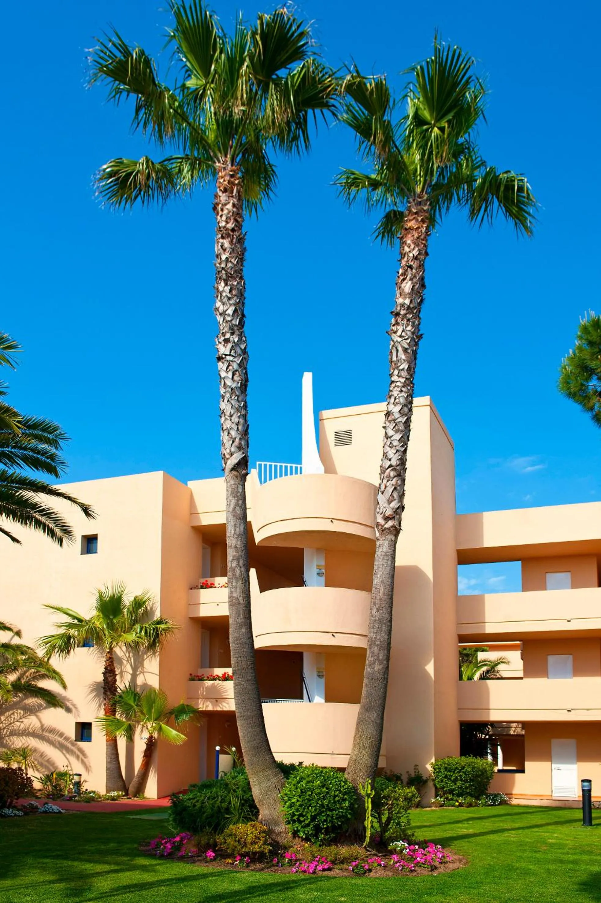 Facade/entrance in Sol Sancti Petri Aparthotel