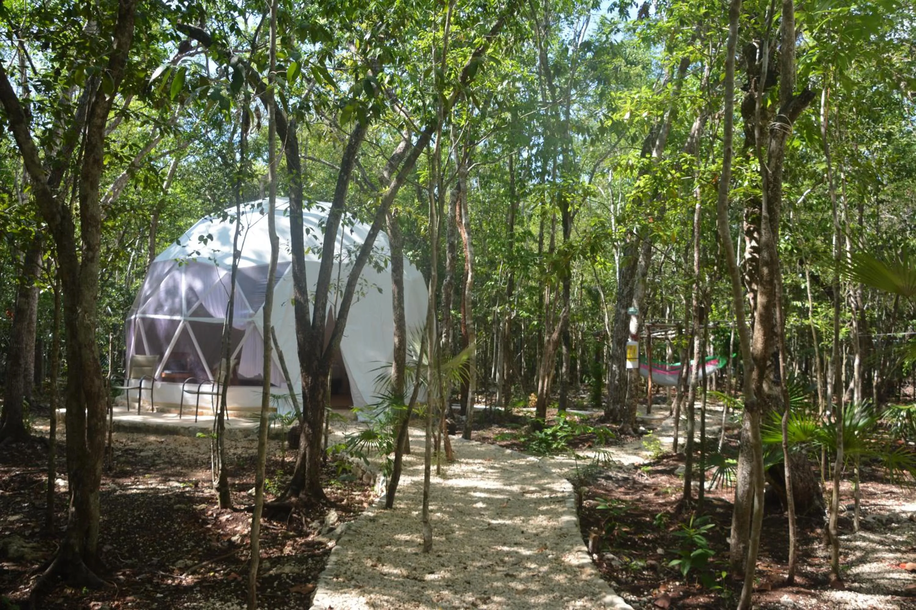 Natural landscape in Glamping Mayan Glam