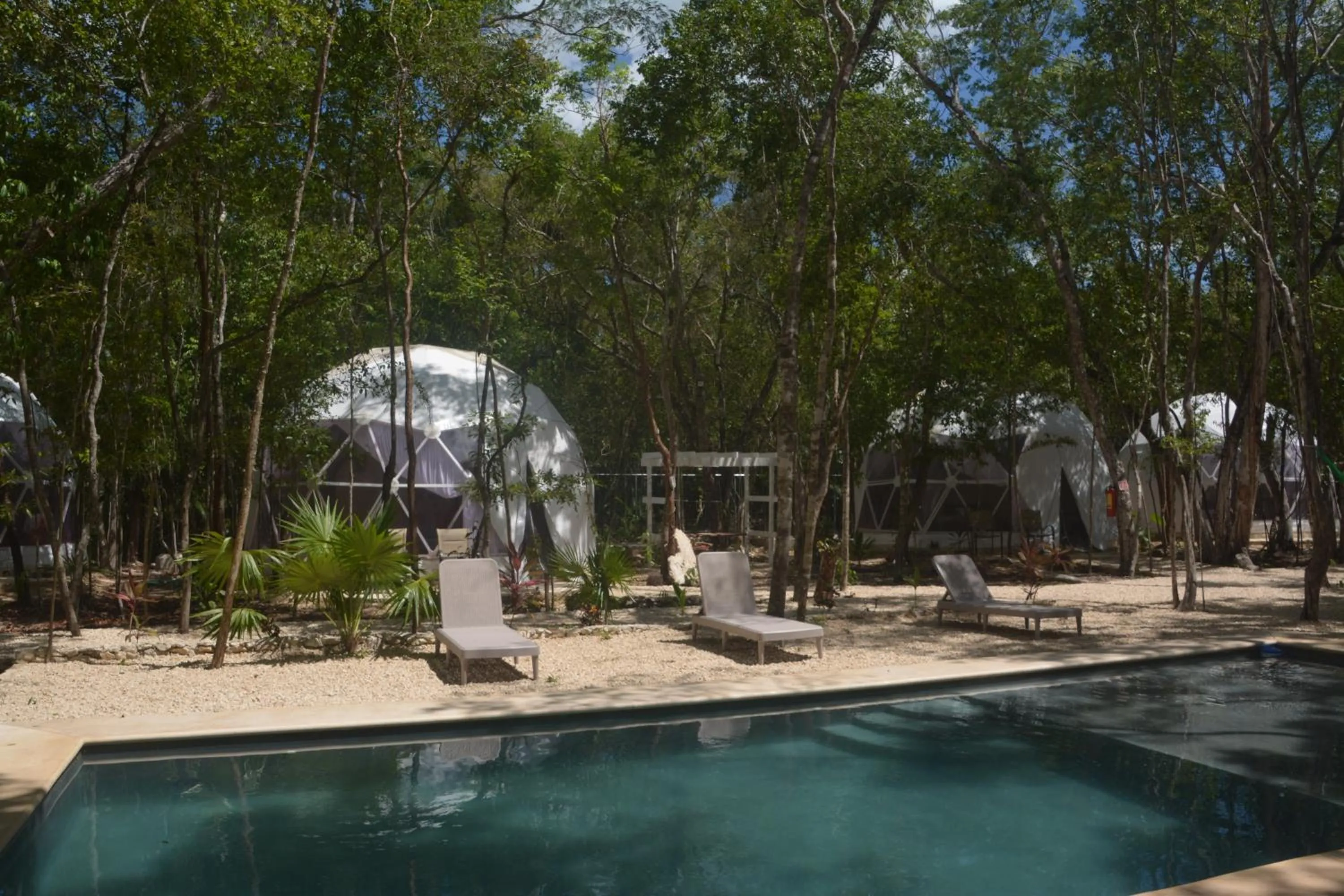 Swimming pool in Glamping Mayan Glam