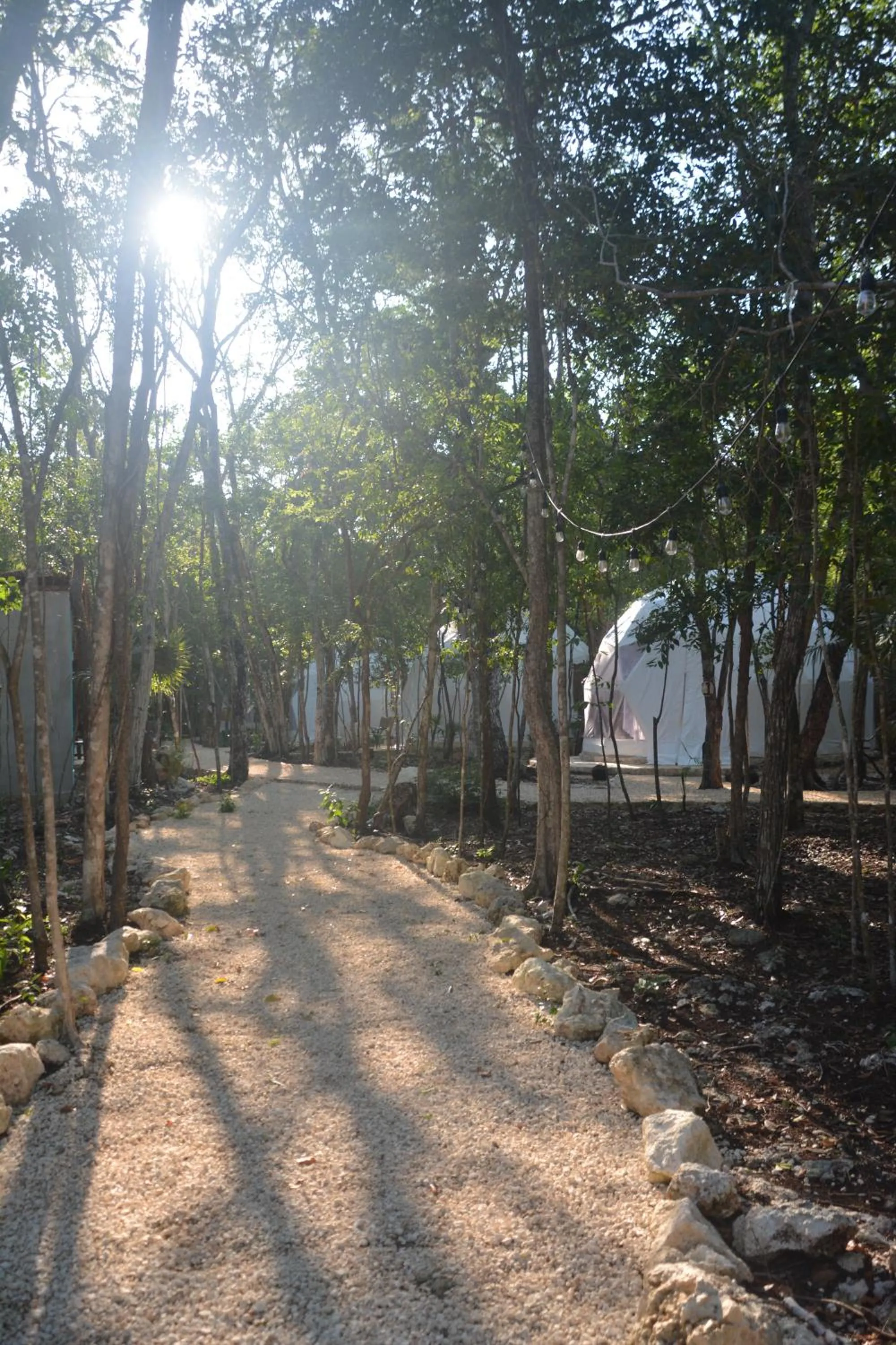 Natural landscape in Glamping Mayan Glam