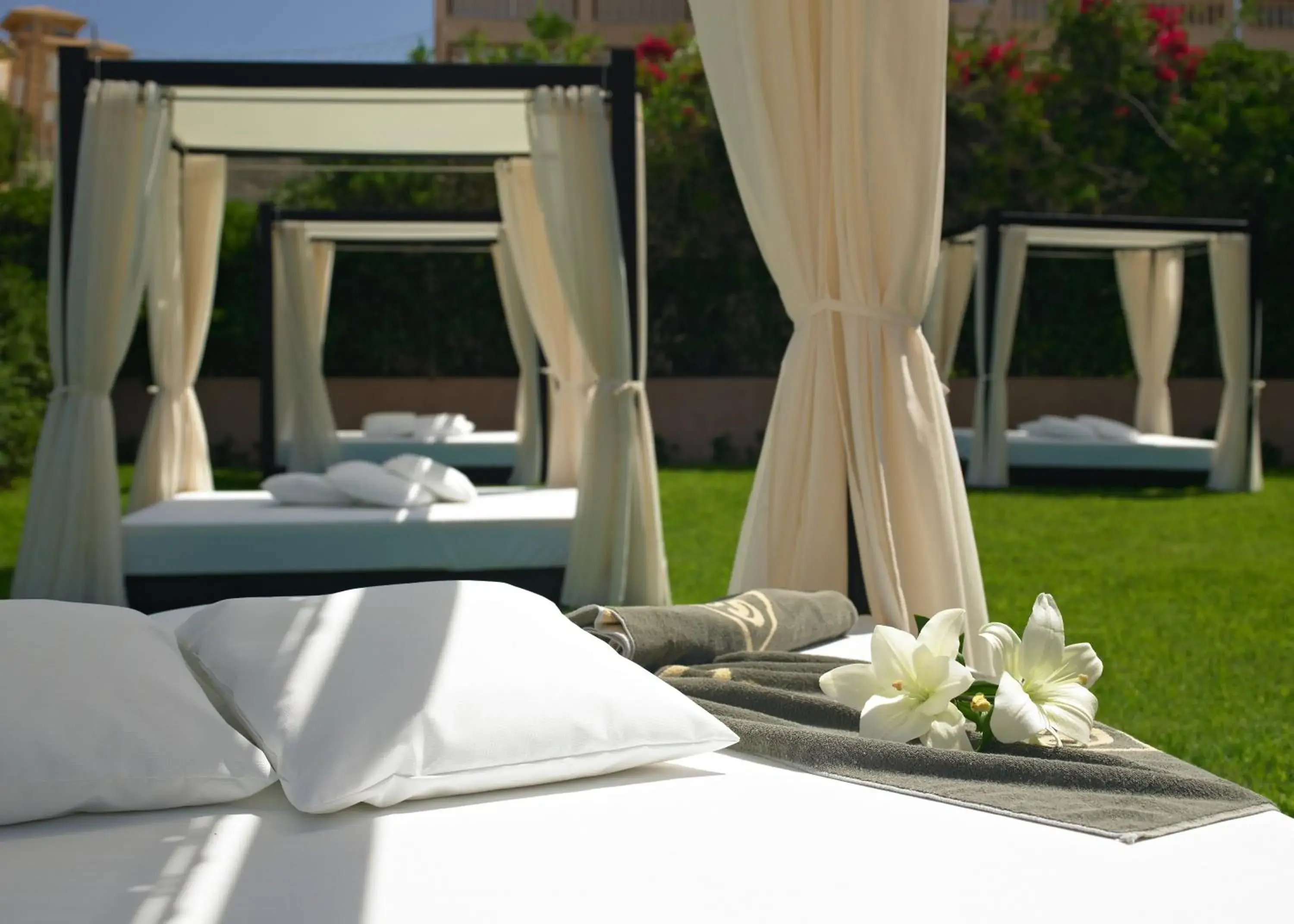 Bed in Protur Turo Pins 4* SUP Bed in Protur Turo Pins 4* SUP