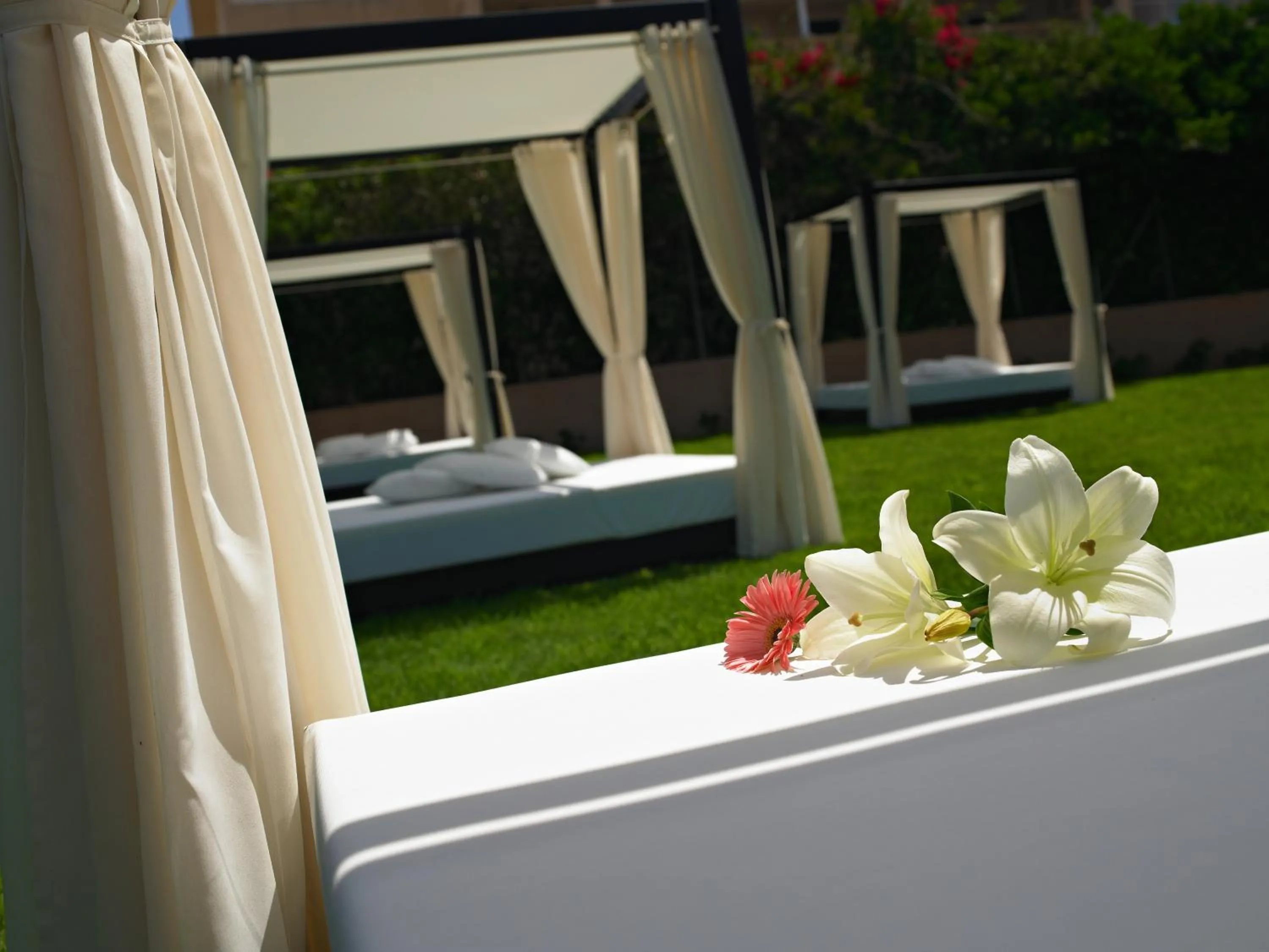 Patio, Bed in Protur Turo Pins 4* SUP