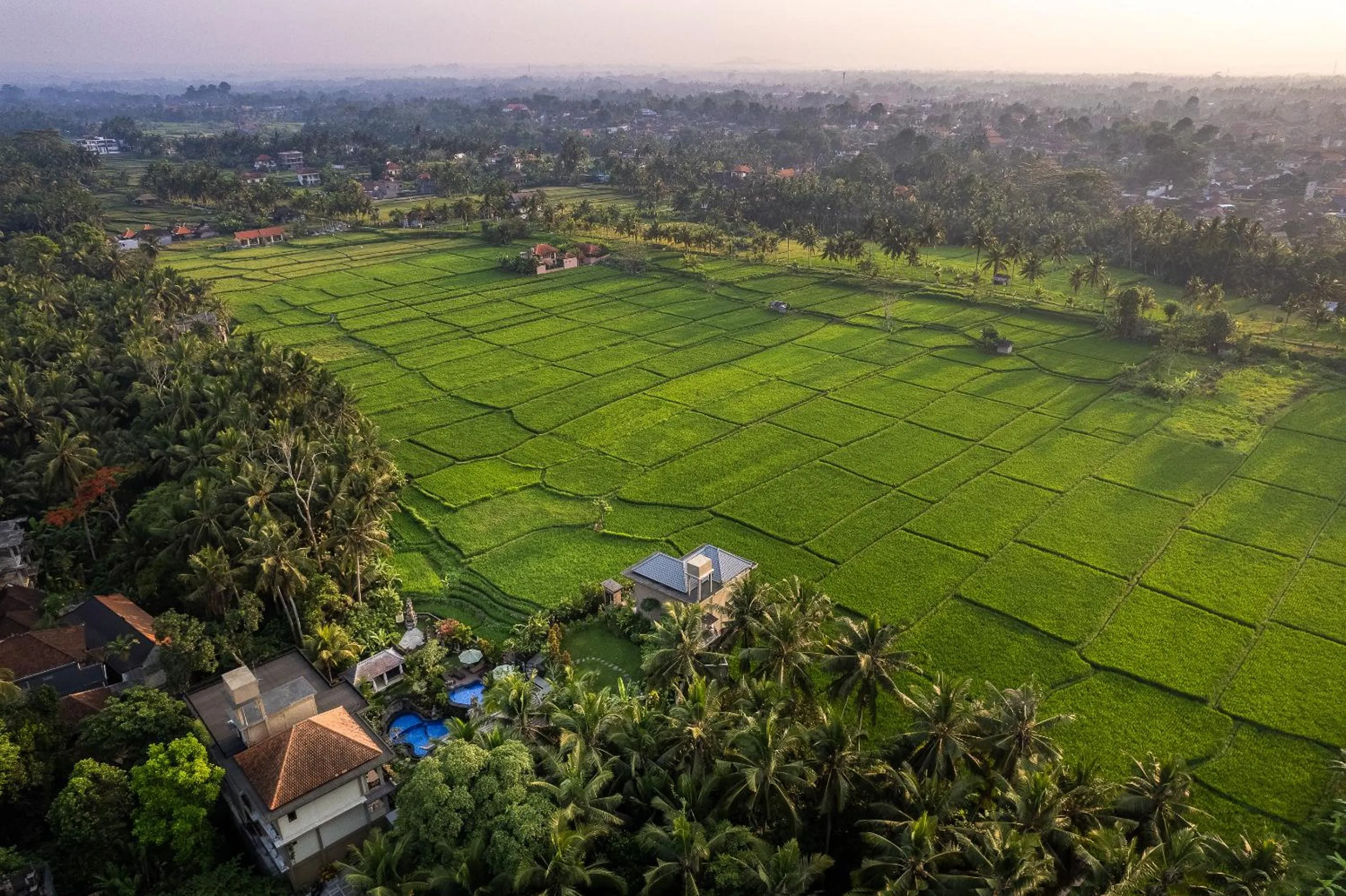Bird's eye view in Gynandha Ubud Cottage