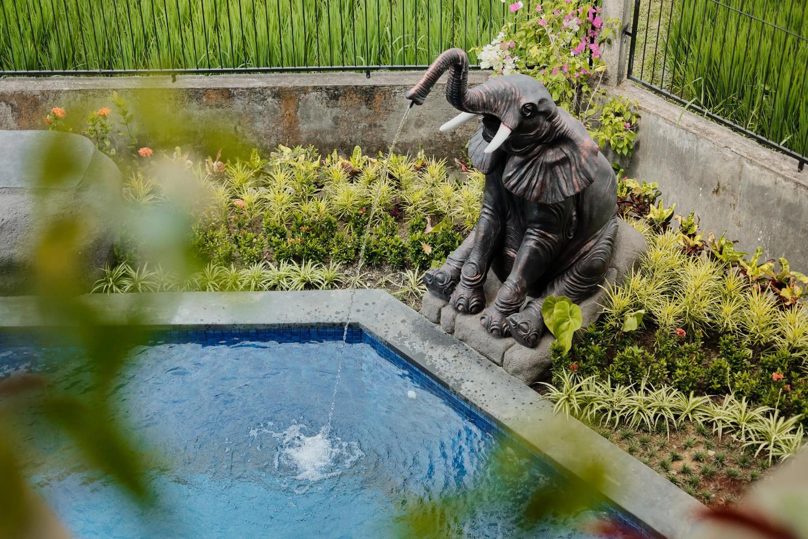 Swimming pool in Gynandha Ubud Cottage
