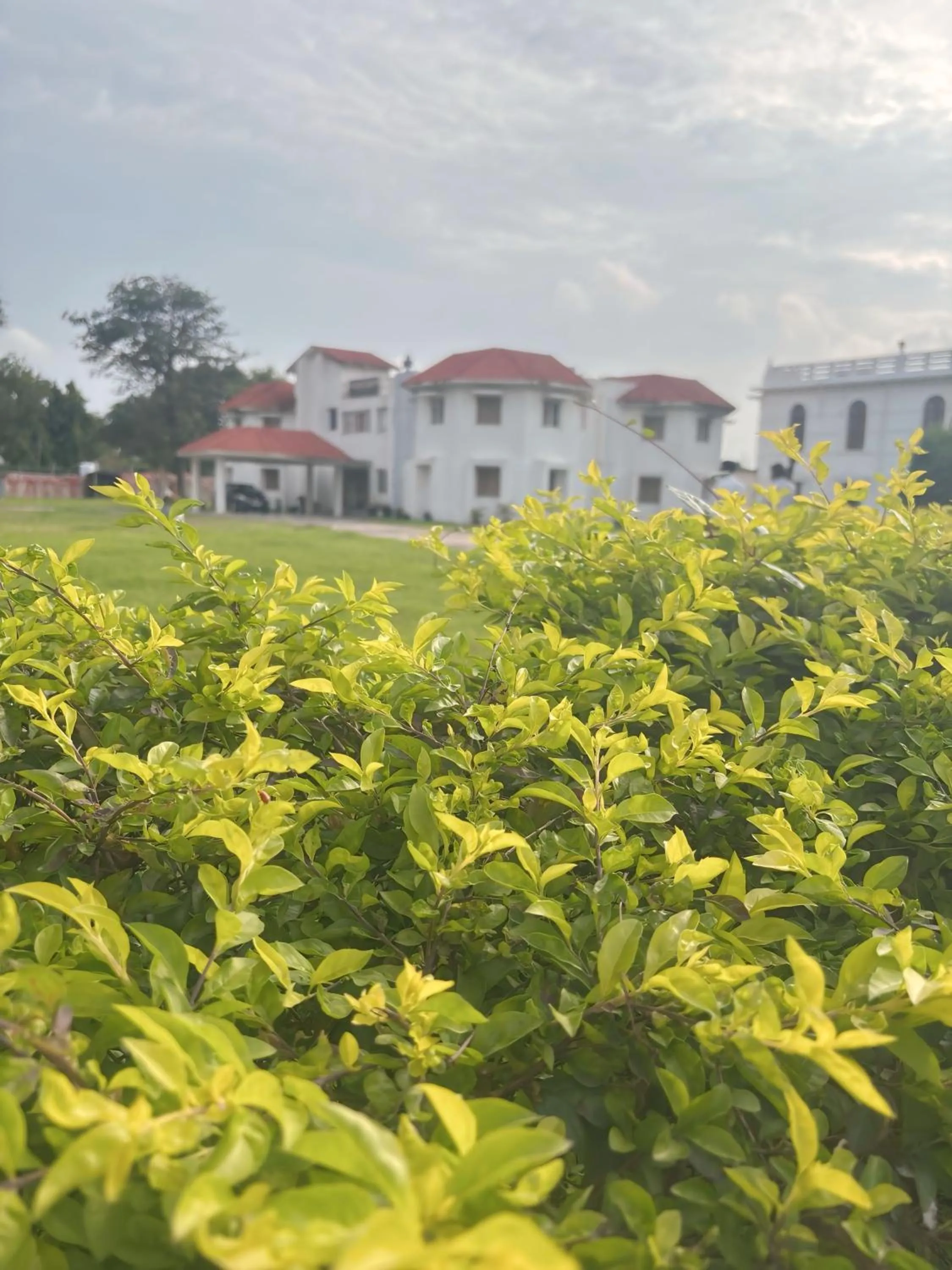 Garden view in BUDDHA HERITAGE RESORT