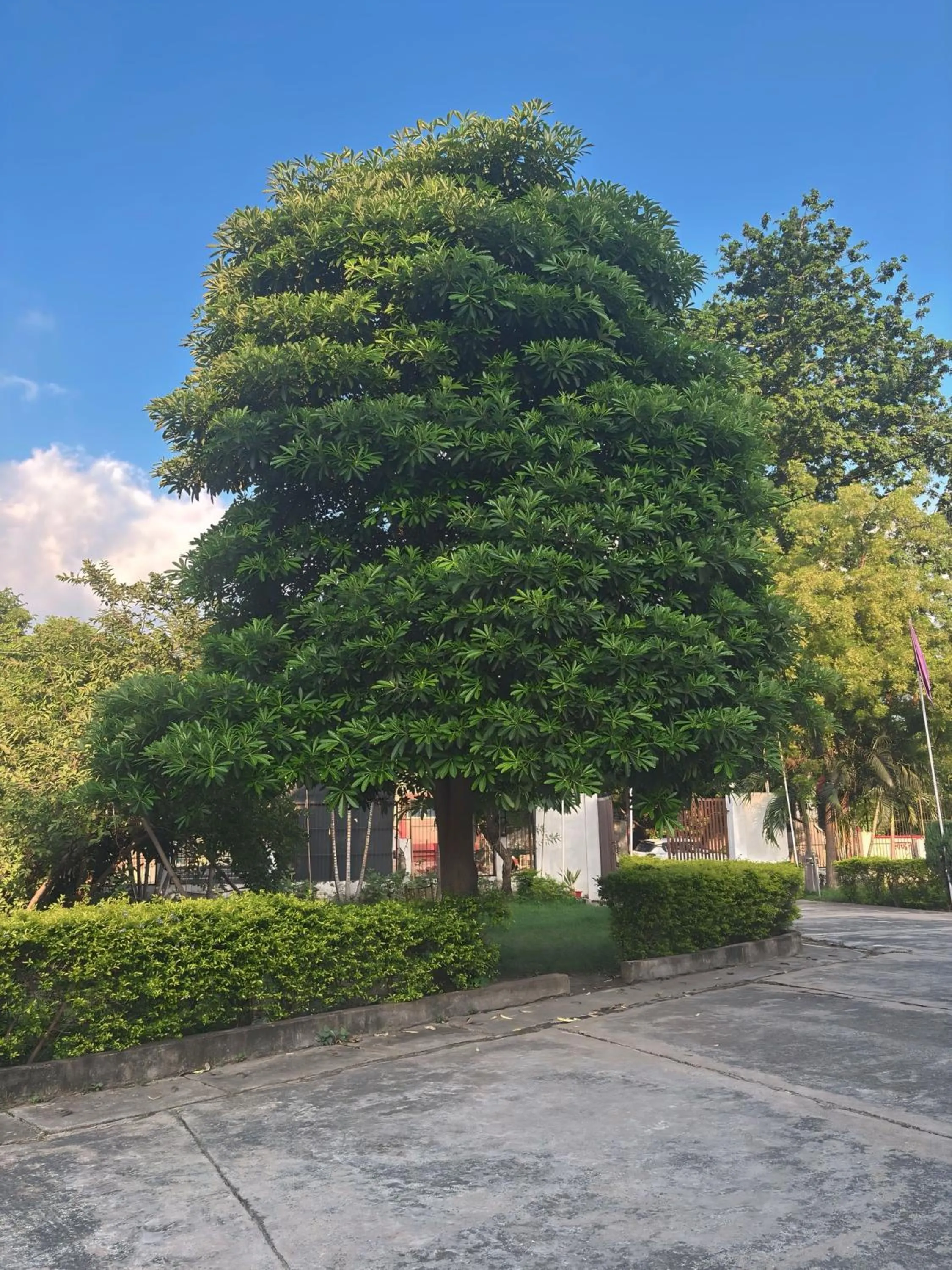 Garden in BUDDHA HERITAGE RESORT