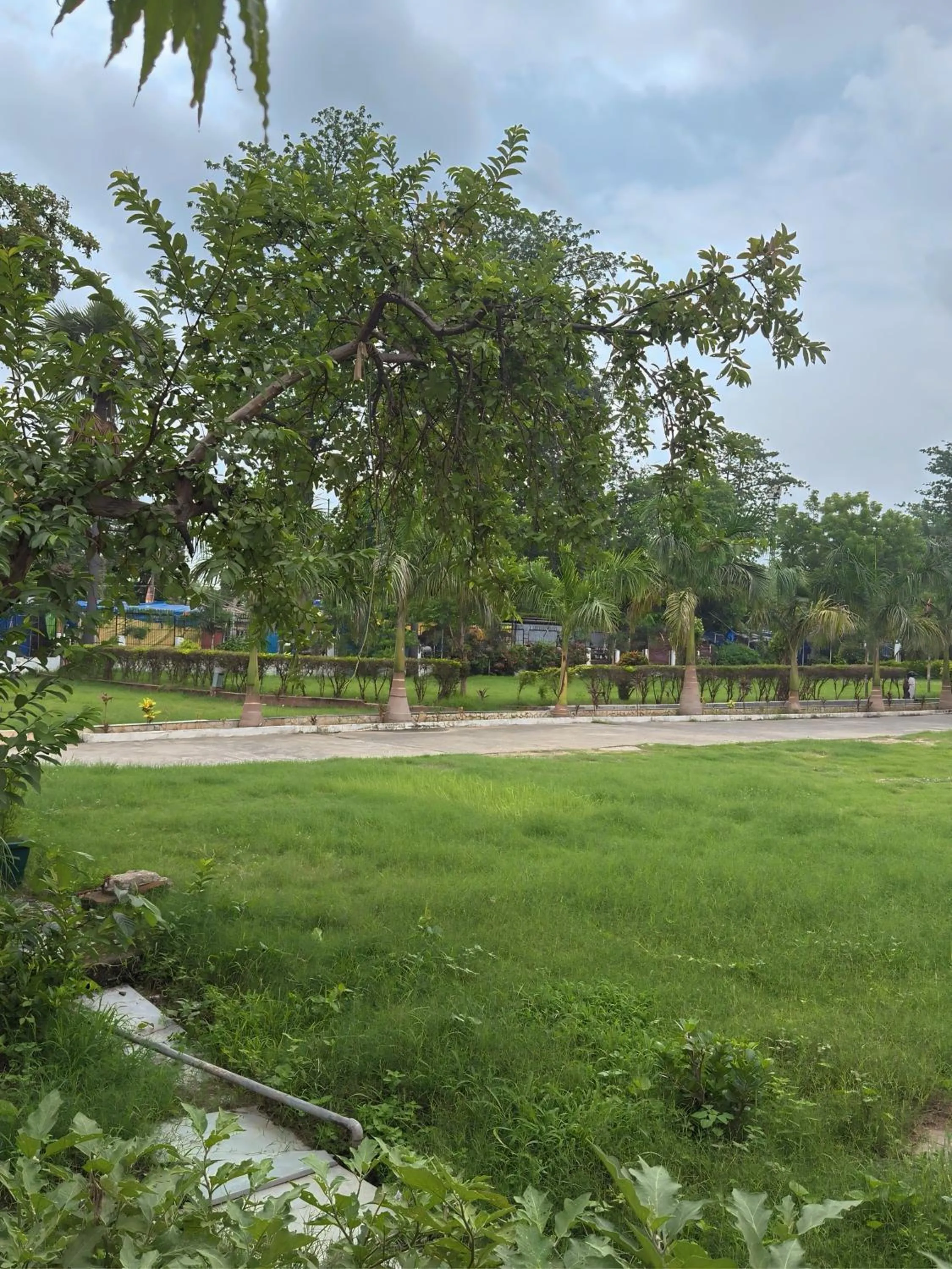 Garden in BUDDHA HERITAGE RESORT