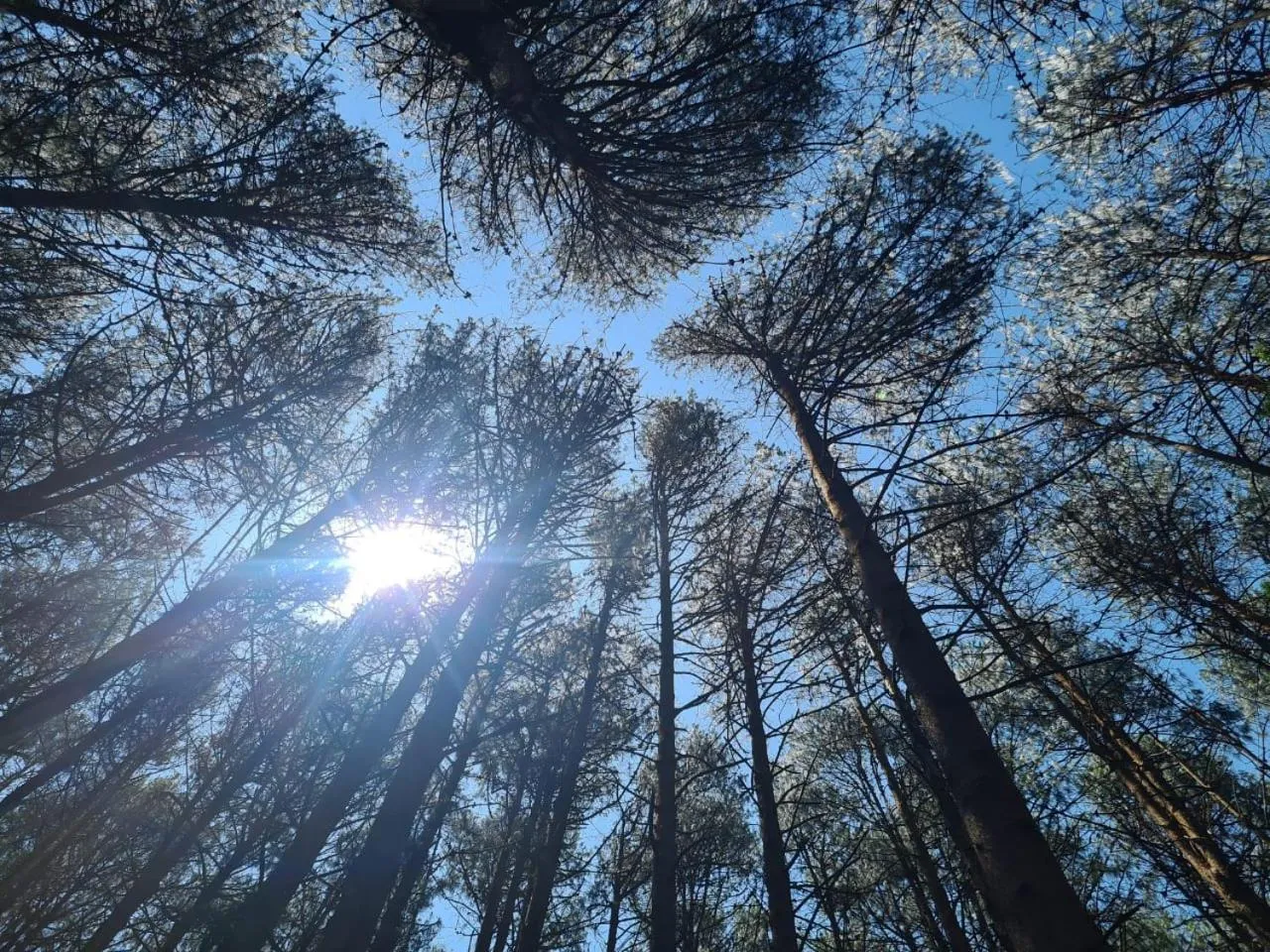 Natural landscape in Montanha Home