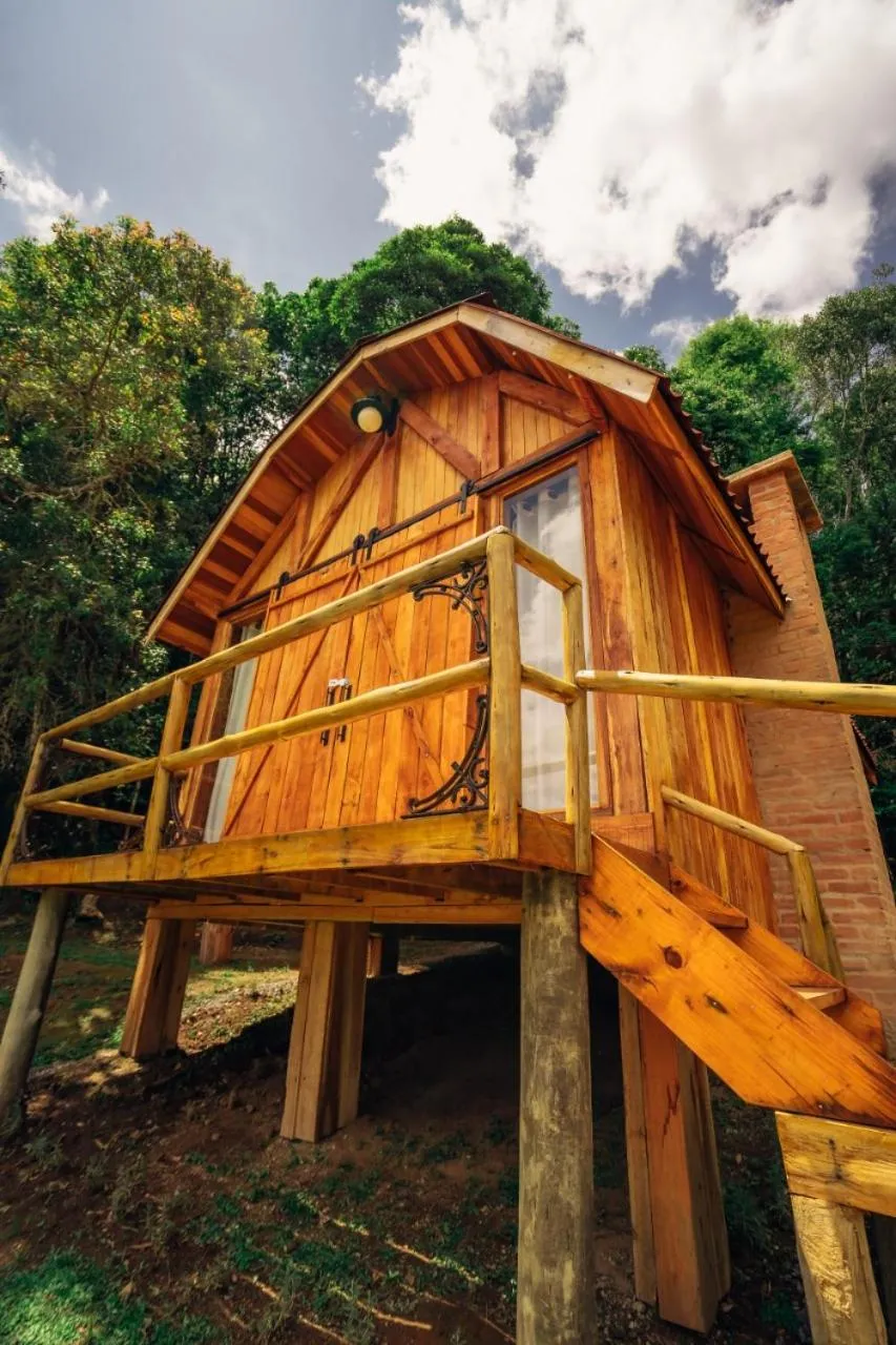 Property building in Montanha Home