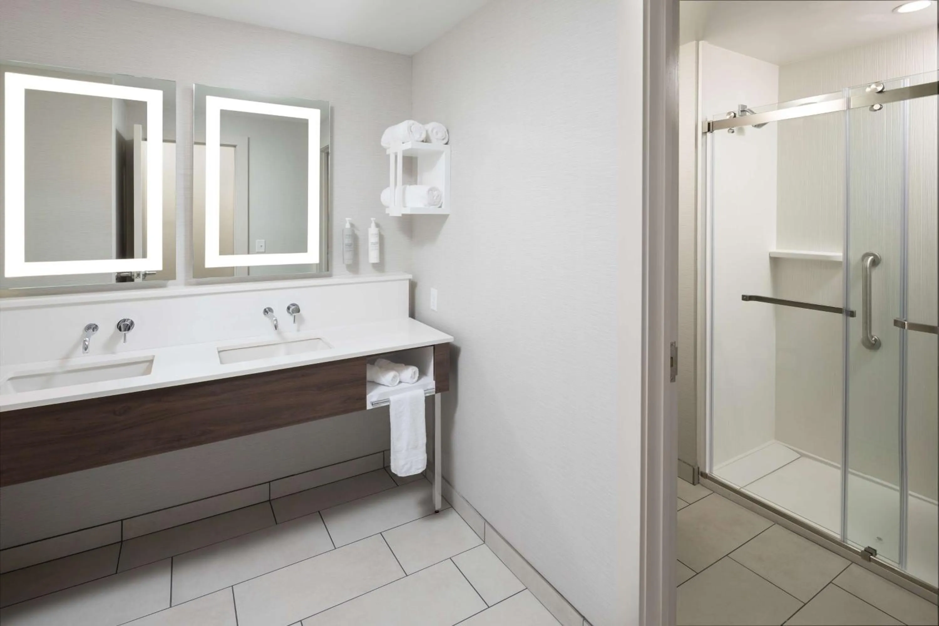 Bathroom in Hampton Inn & Suites Rochester Downtown