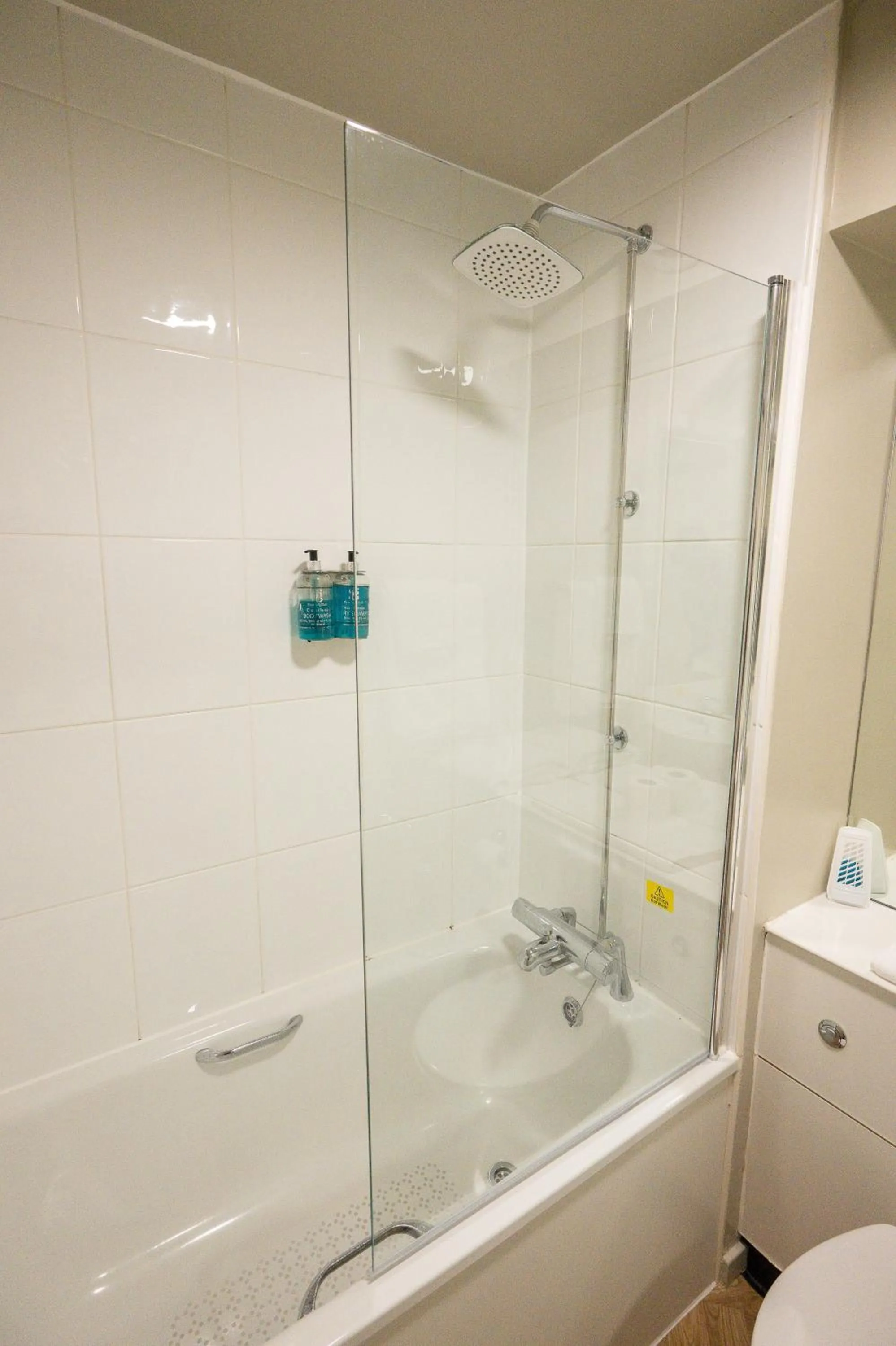 Shower in Cat & Lion Country Pub and Hotel