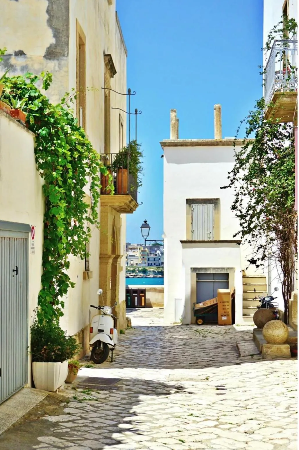 Natural landscape in Villa Skyline- Otranto