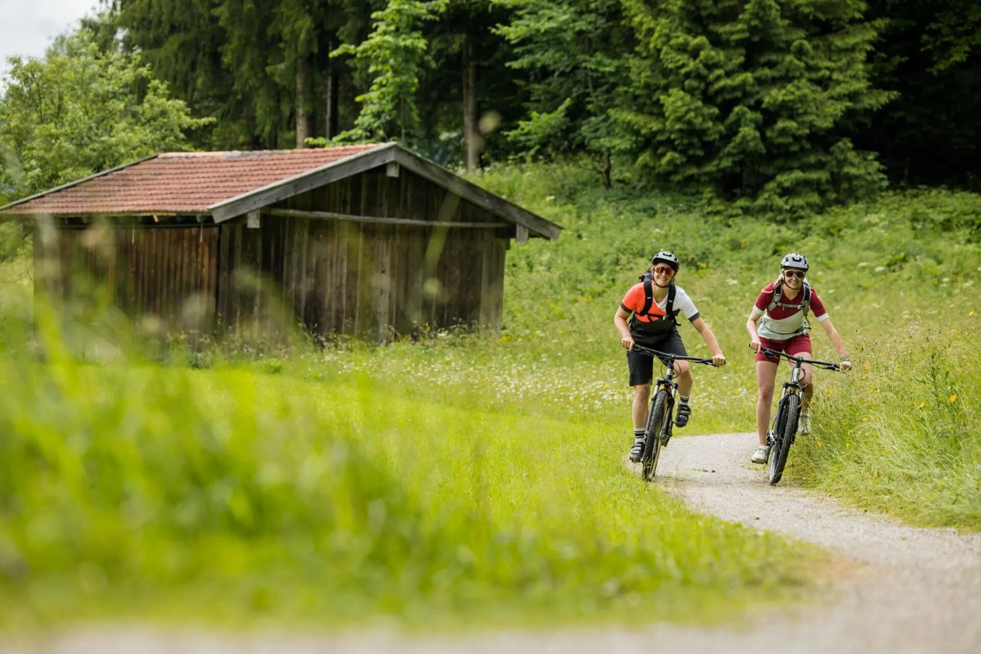 Area and facilities in Zum Turm - Apartments und Gästezimmer