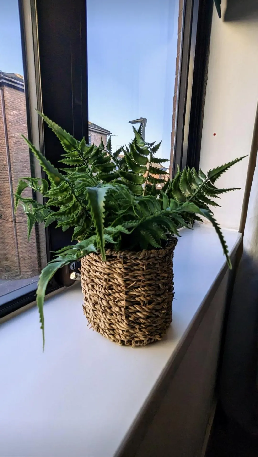 Decorative detail in Great North Getaways - Newcastle upon Tyne