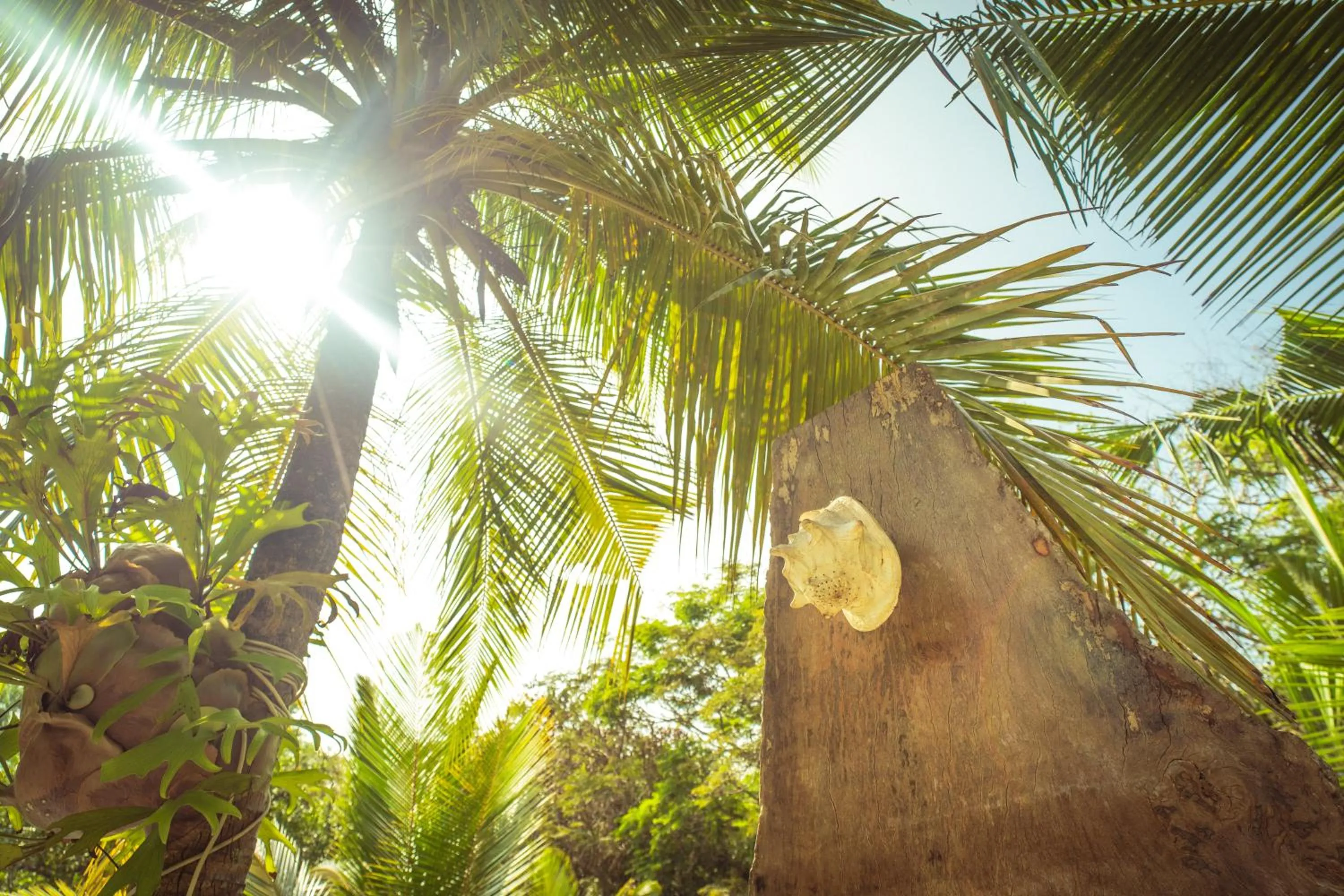 Open Air Bath in OHEI