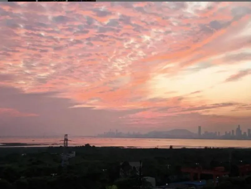 Hampton By Hilton Shenzhen Futian Mangrove Park Apartments