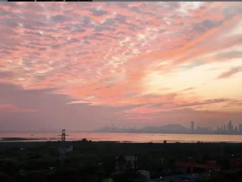 Superior King Room with Sea View in Hampton By Hilton Shenzhen Futian Mangrove Park Apartments Superior King Room with Sea View in Hampton By Hilton Shenzhen Futian Mangrove Park Apartments