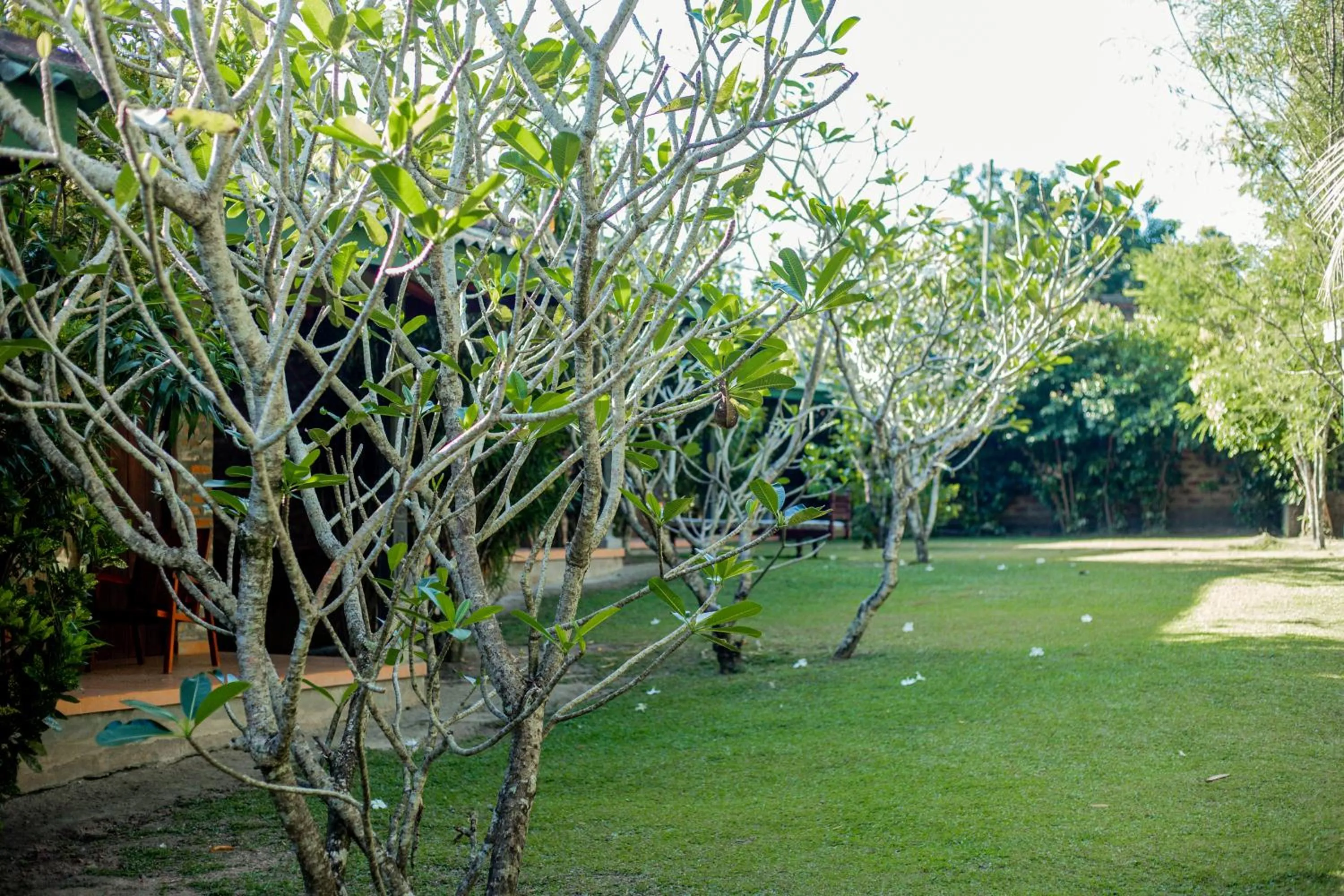 Garden in The Coastal Village Cabanas