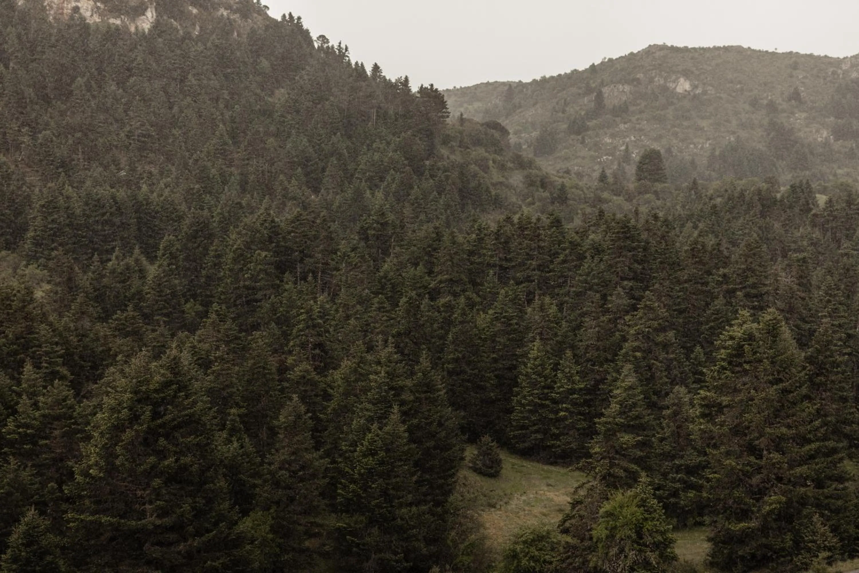 MANNA, a Member of Design Hotels