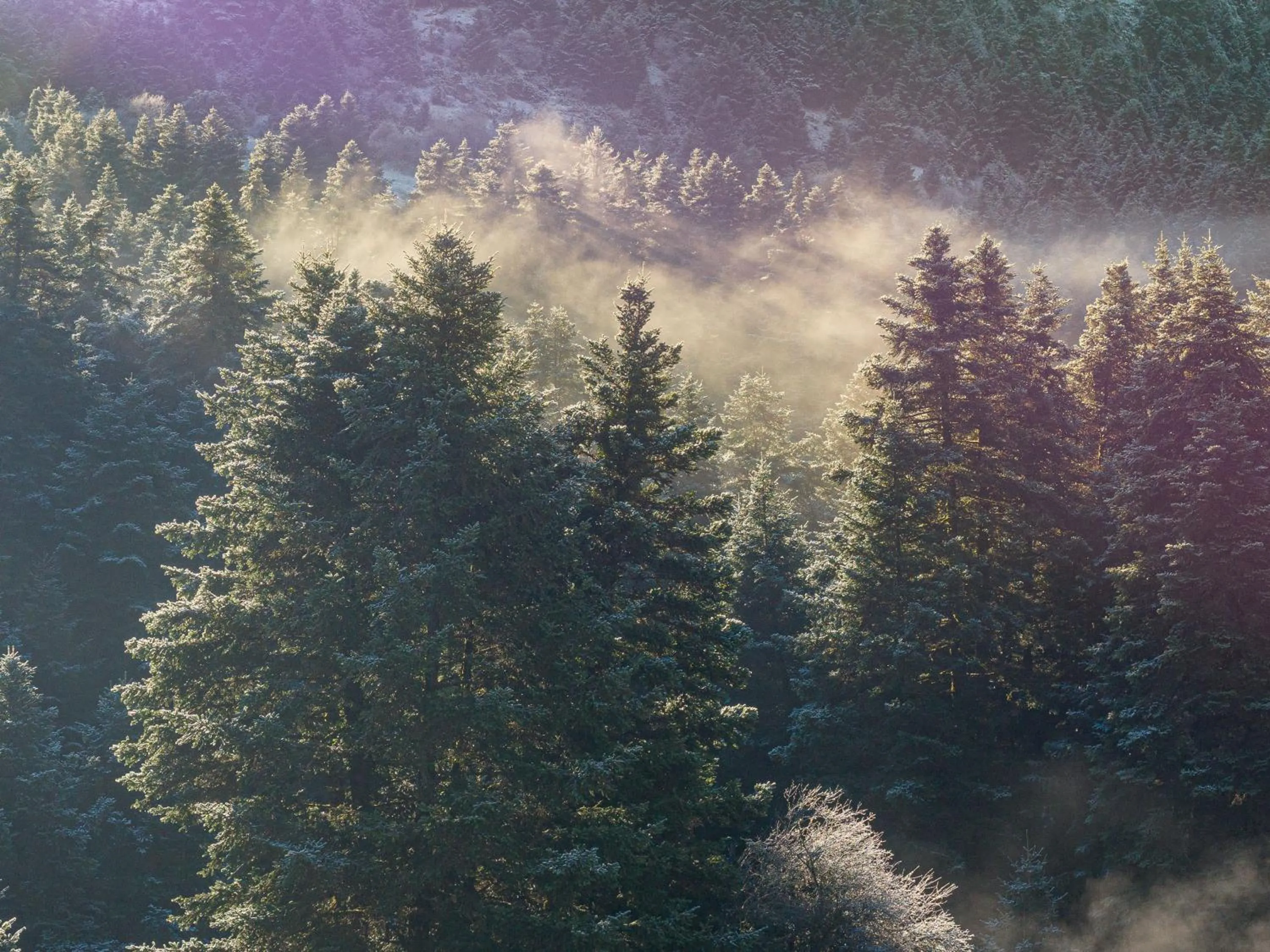 Natural landscape in MANNA, a Member of Design Hotels