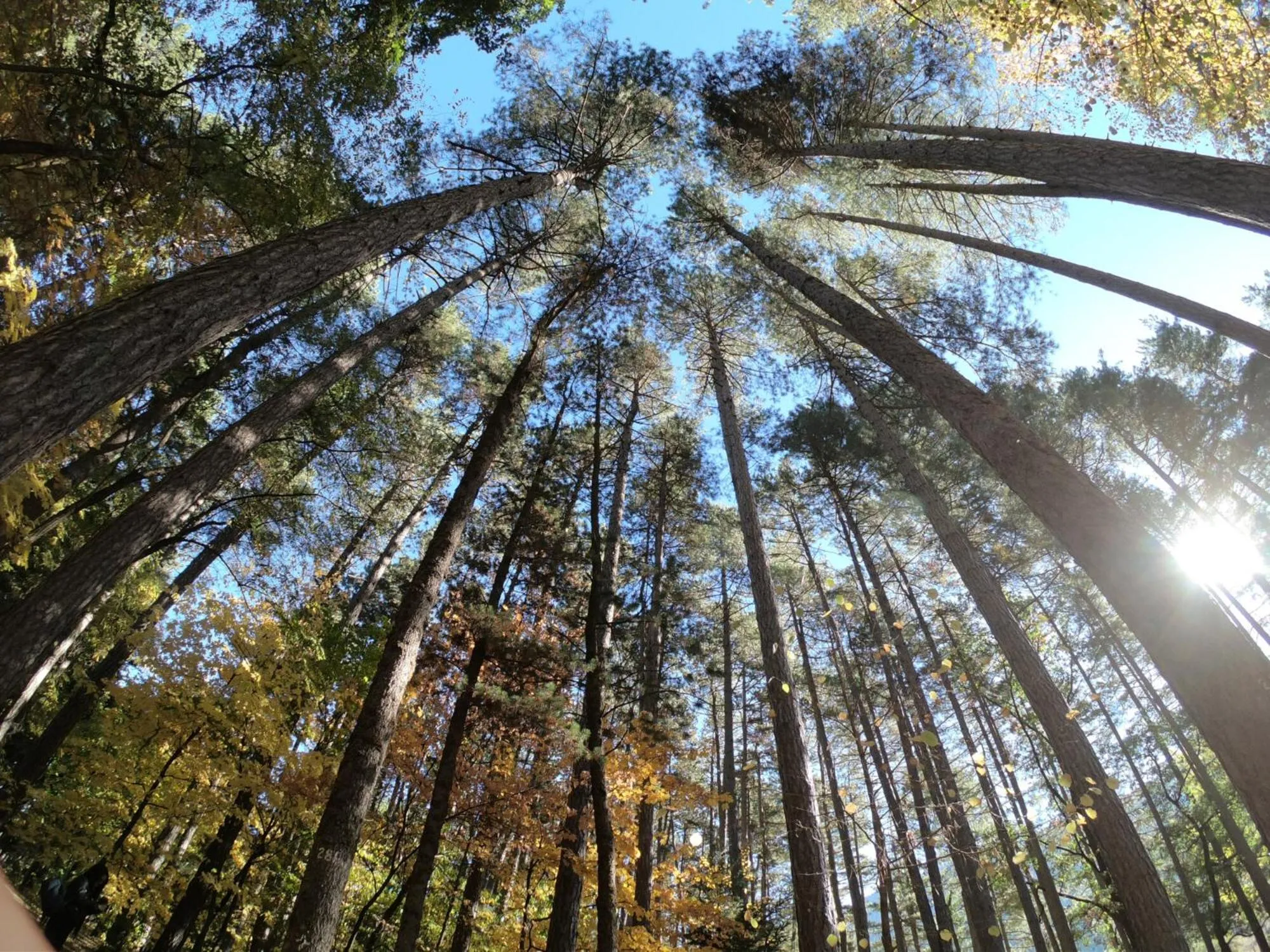 Nearby landmark in MANNA, a Member of Design Hotels