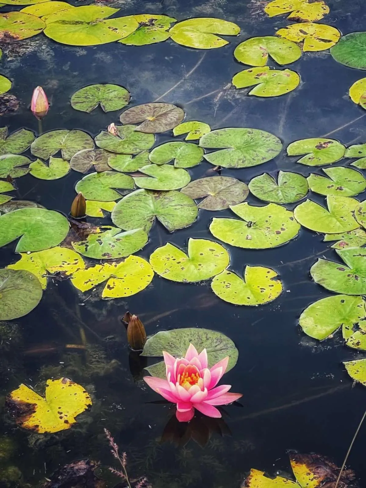 MANNA, a Member of Design Hotels