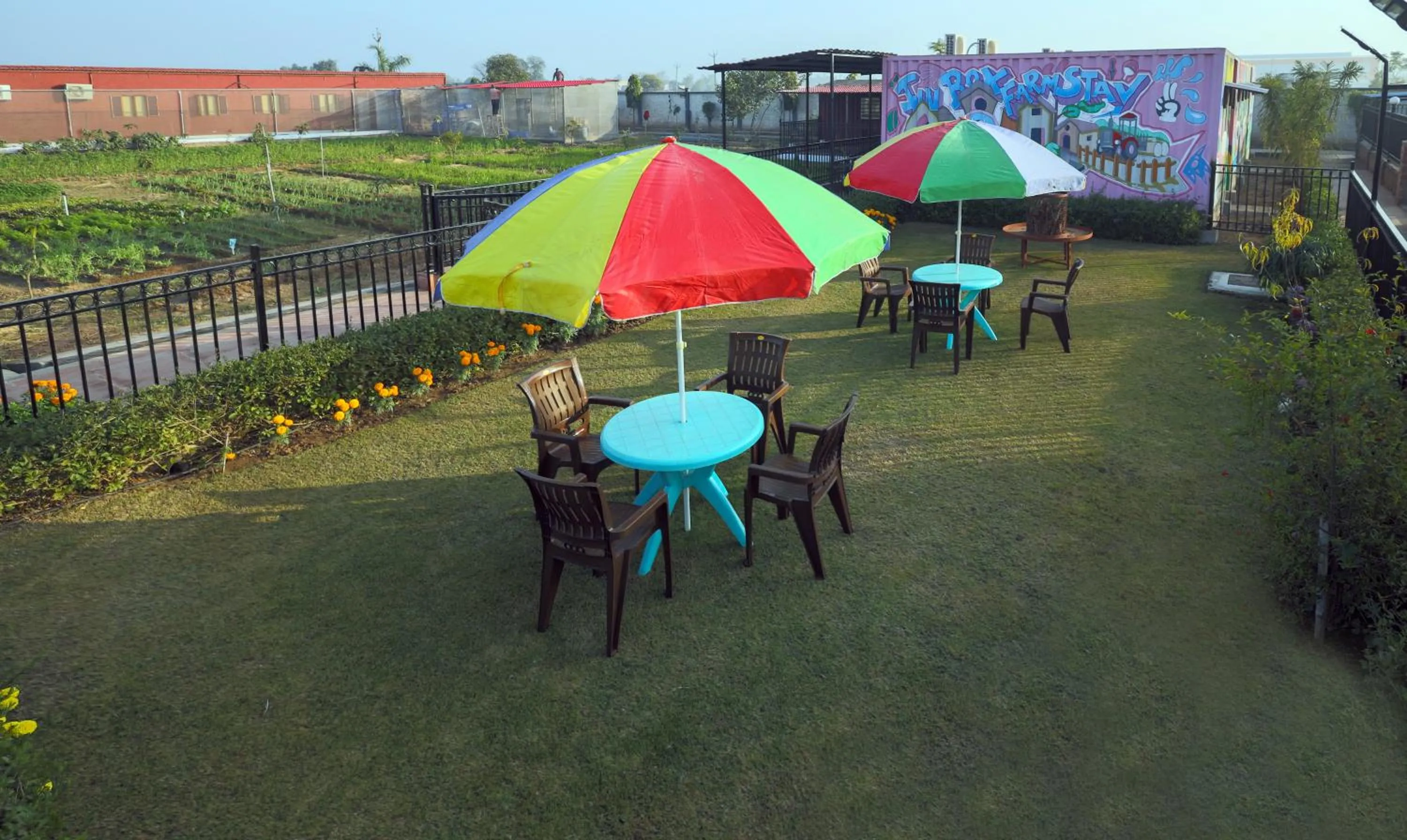 Garden in InnBox Farmstay - Rajpura Punjab