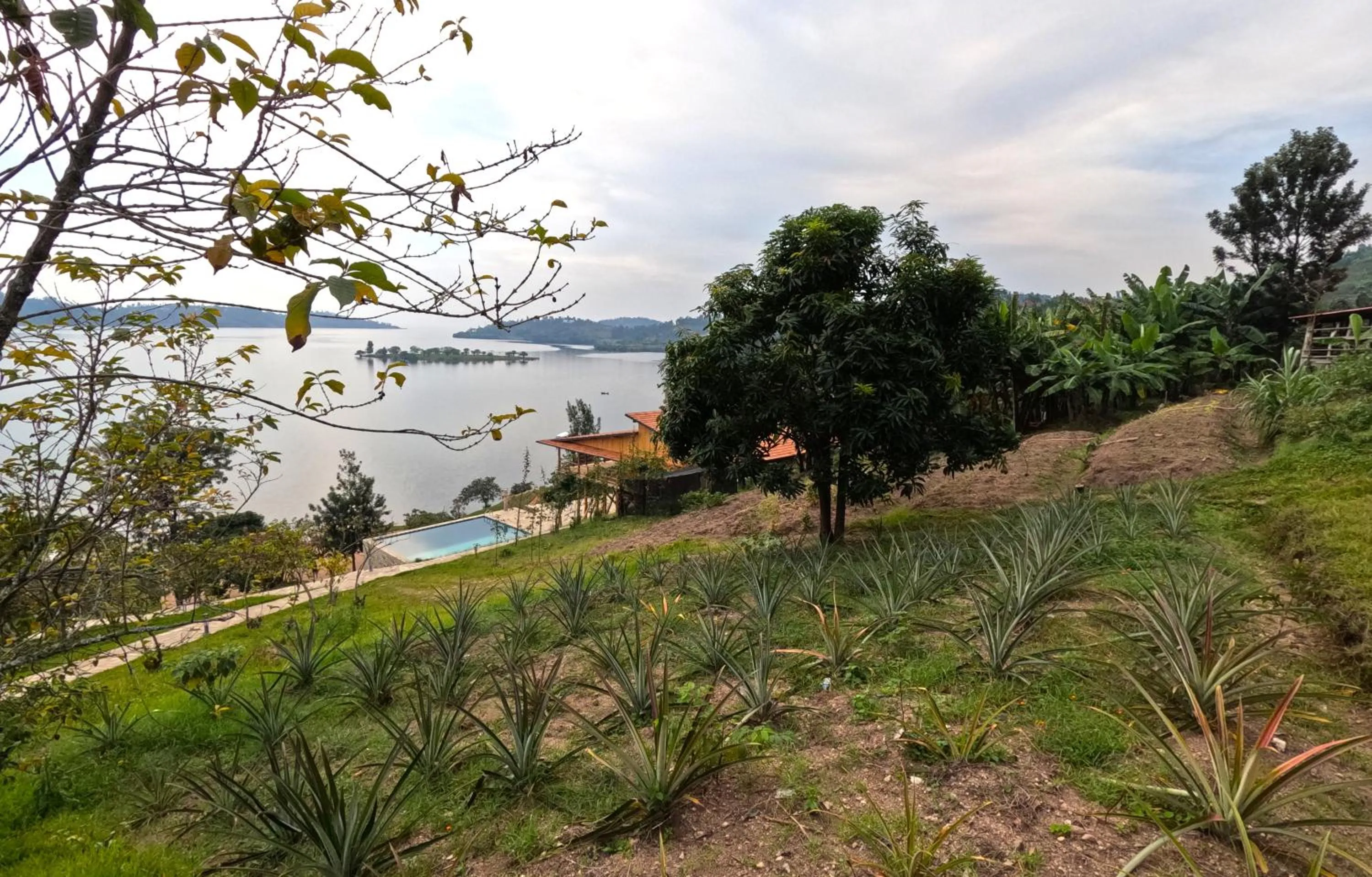 Garden in Umutuzo Lodge Kivu Lake