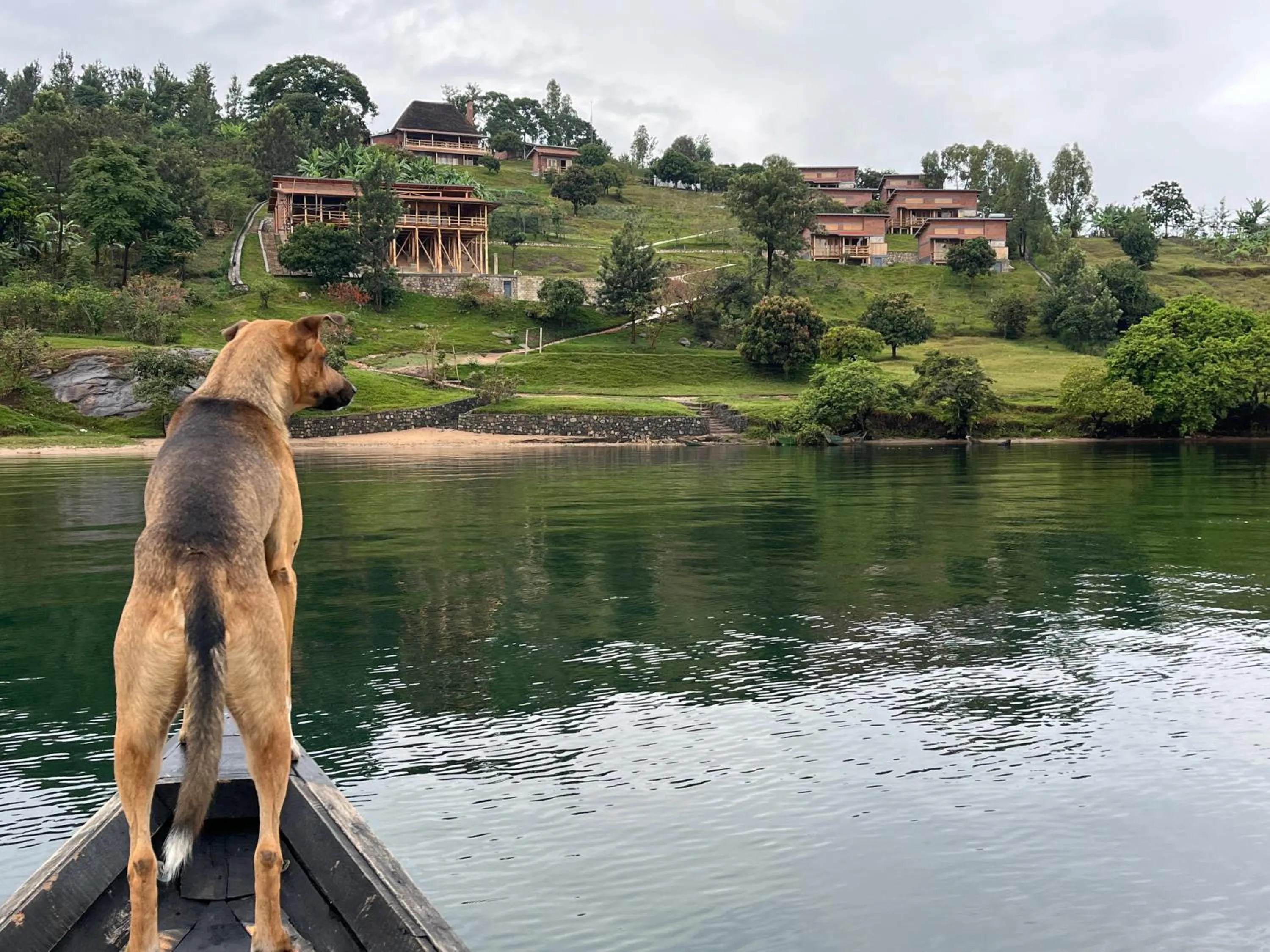 Property building in Umutuzo Lodge Kivu Lake