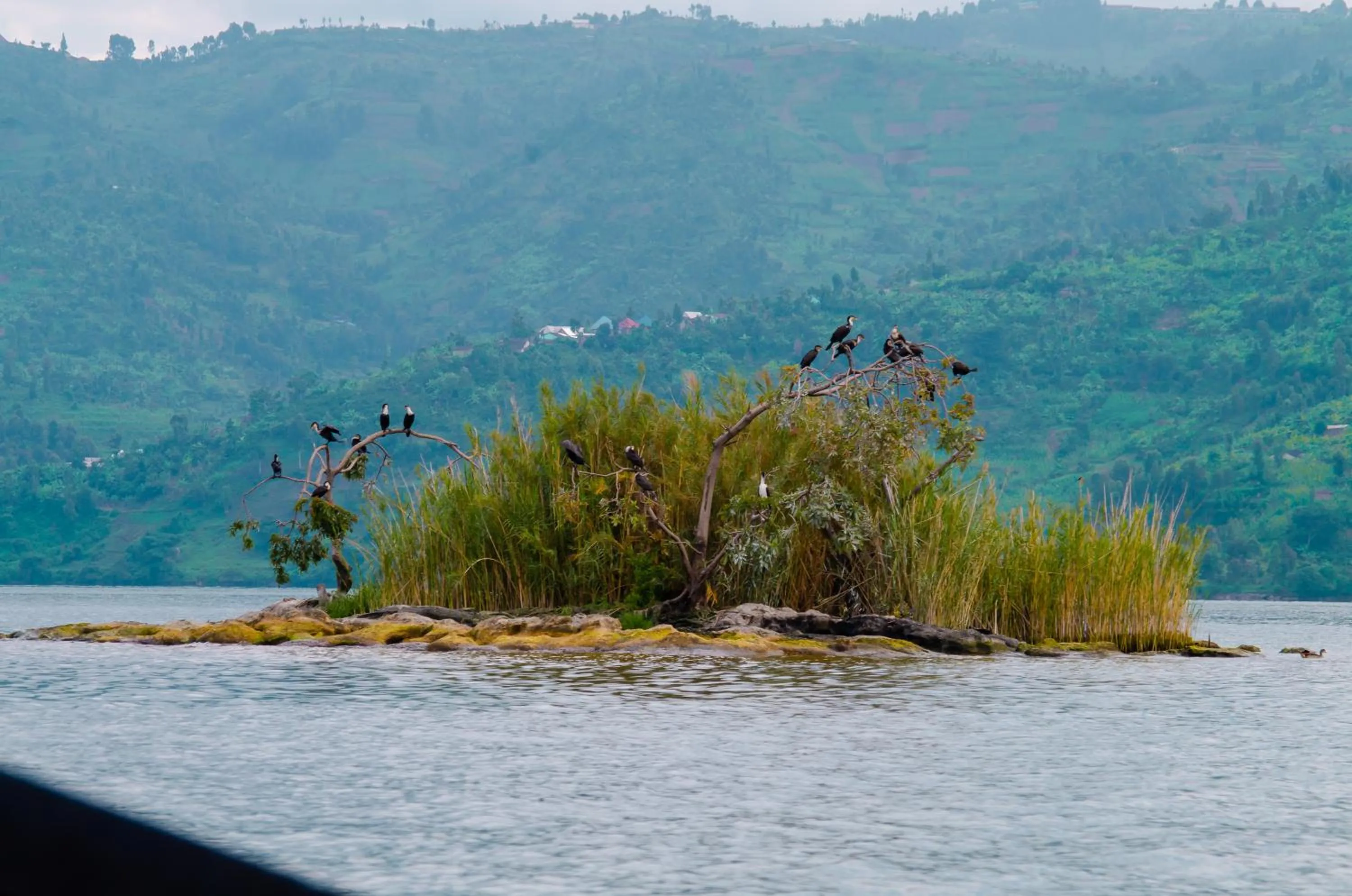 Natural landscape in Umutuzo Lodge Kivu Lake