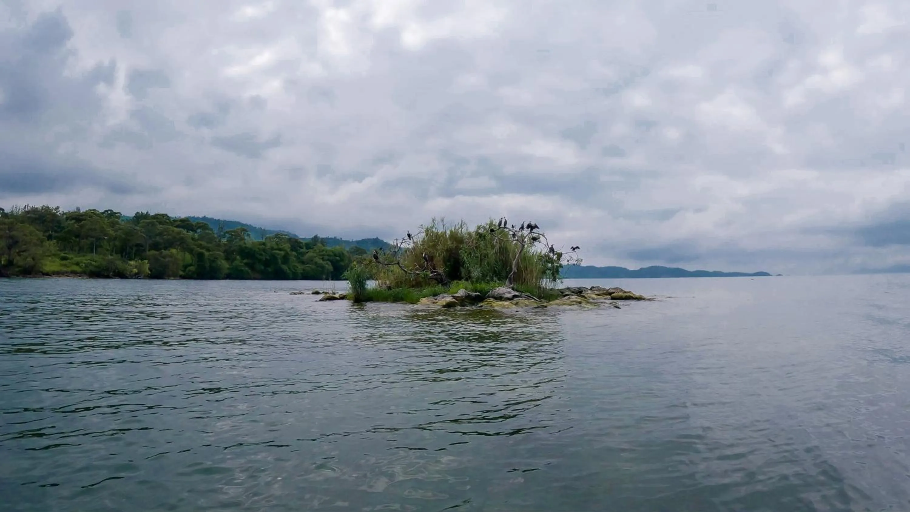 Natural landscape in Umutuzo Lodge Kivu Lake