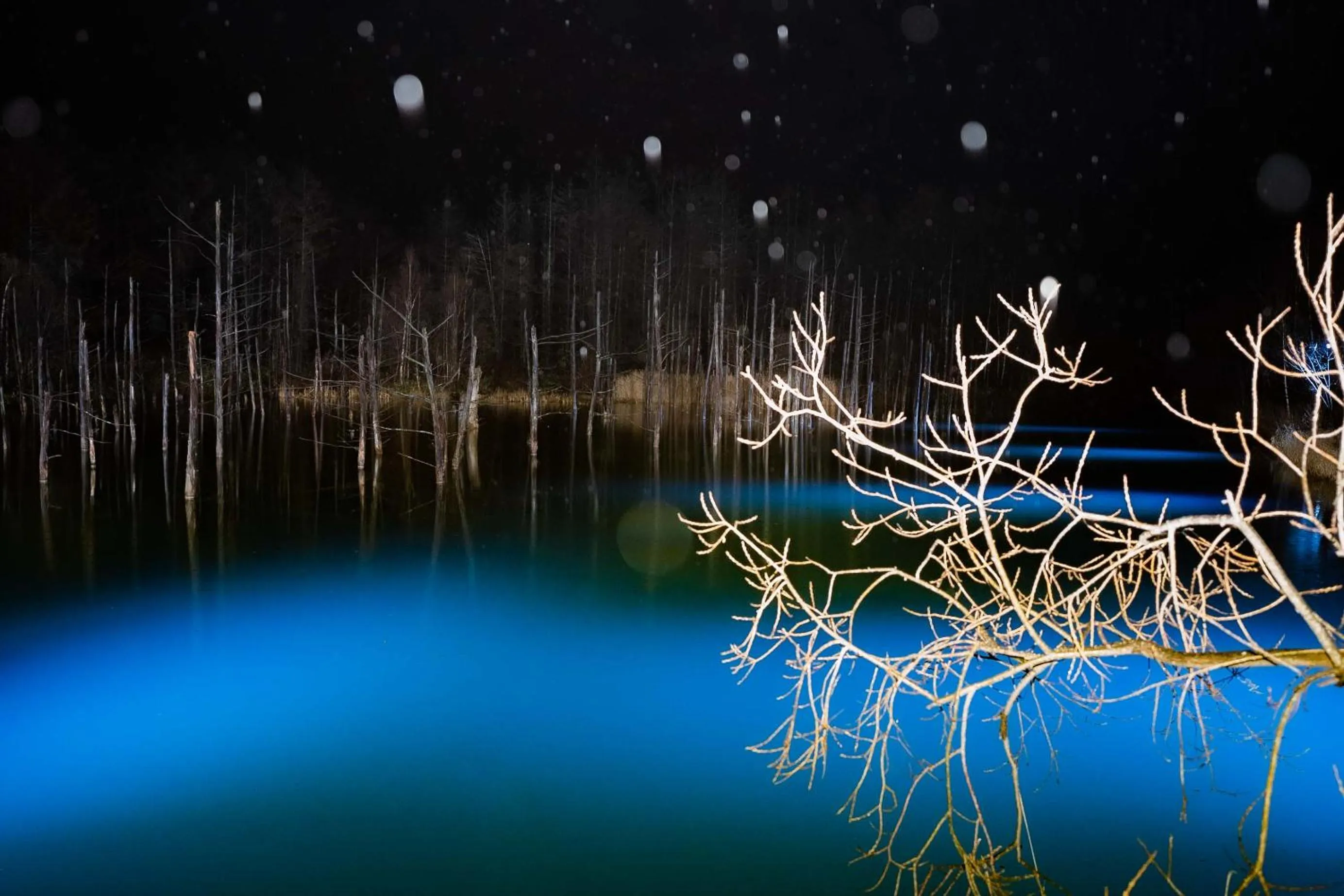 Nearby landmark in UUHOME