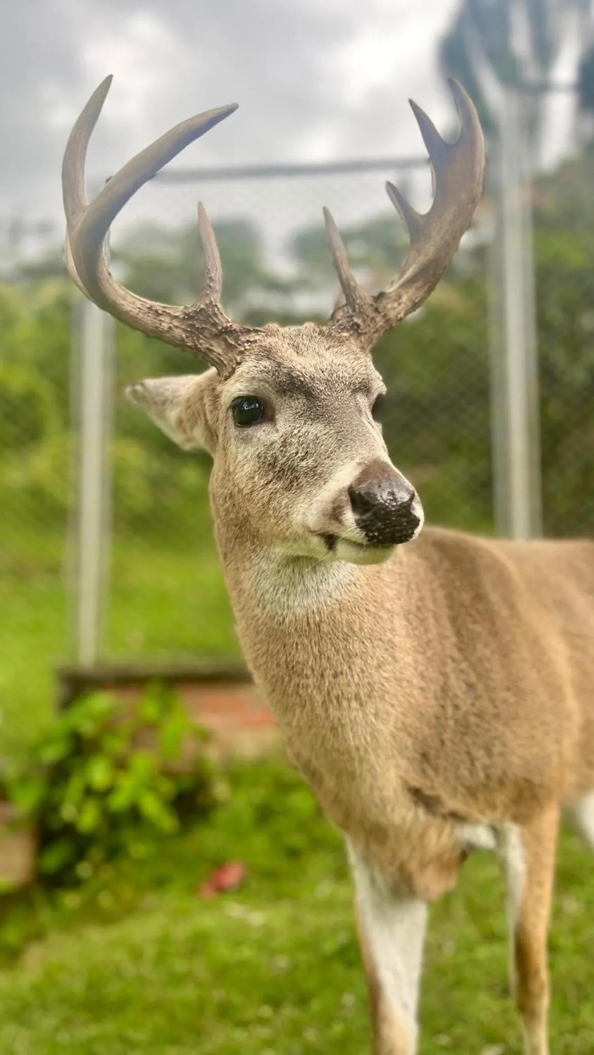 Animals in Mirador El paraiso glamping
