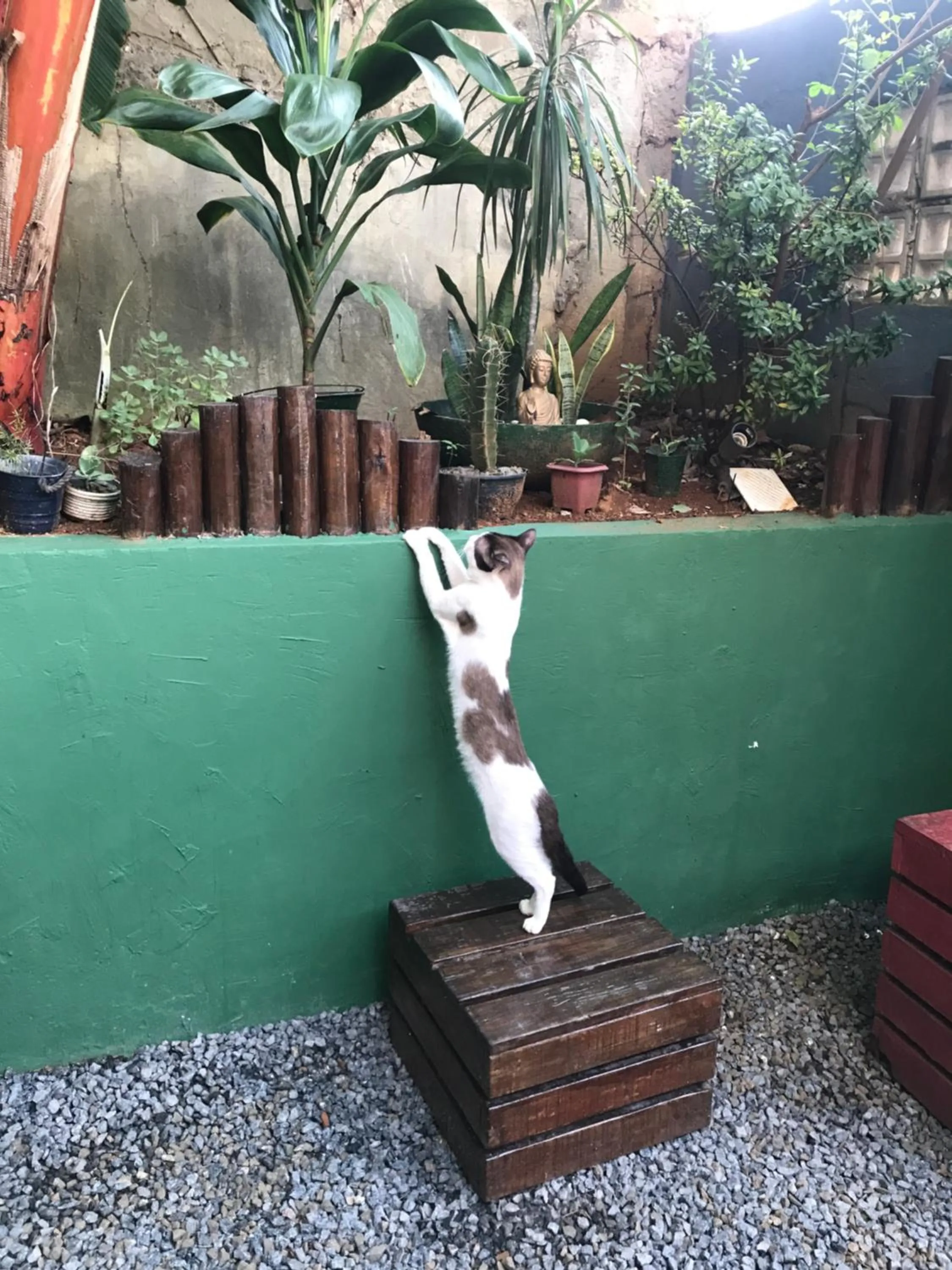 Day in Hostel do Rasta