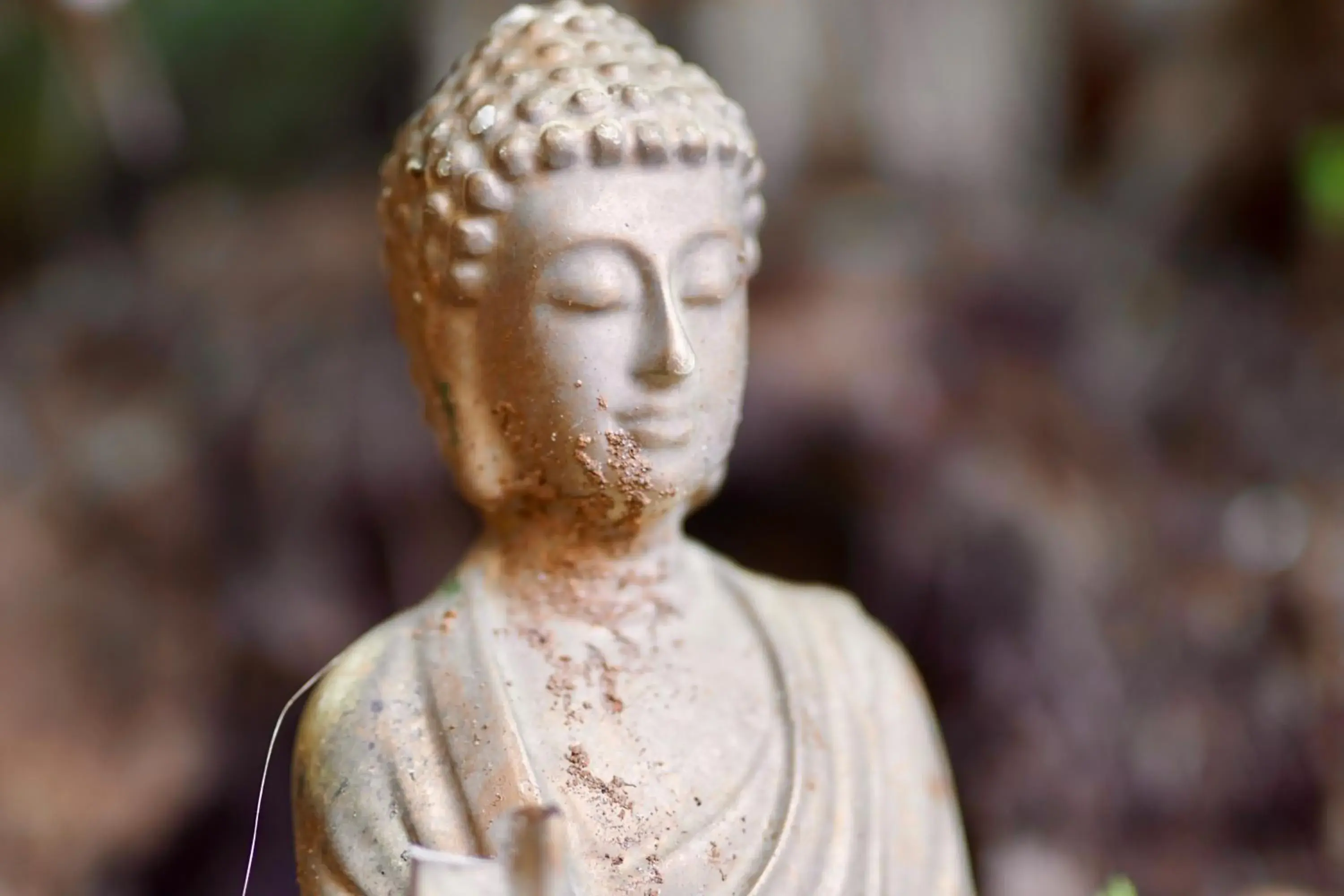 Property building in Hostel do Rasta Property building in Hostel do Rasta