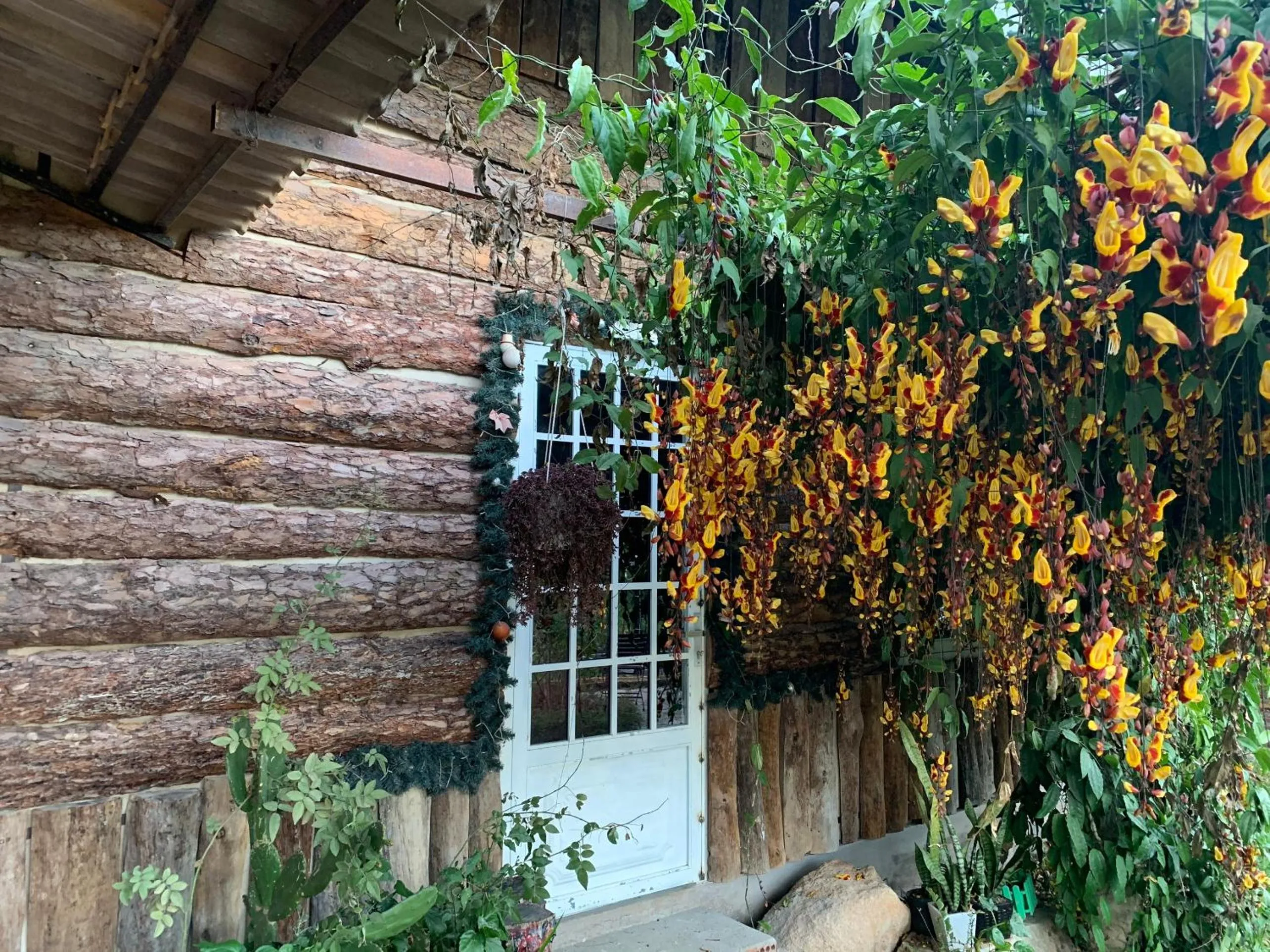 Day in Hoa Son Village Da Lat