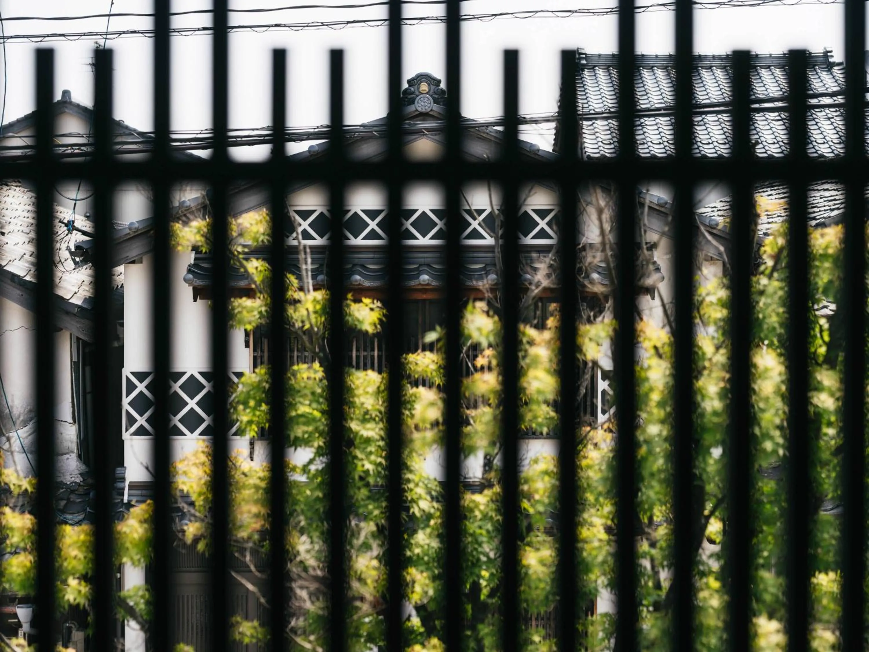 Day in RITA Izumo Hirata