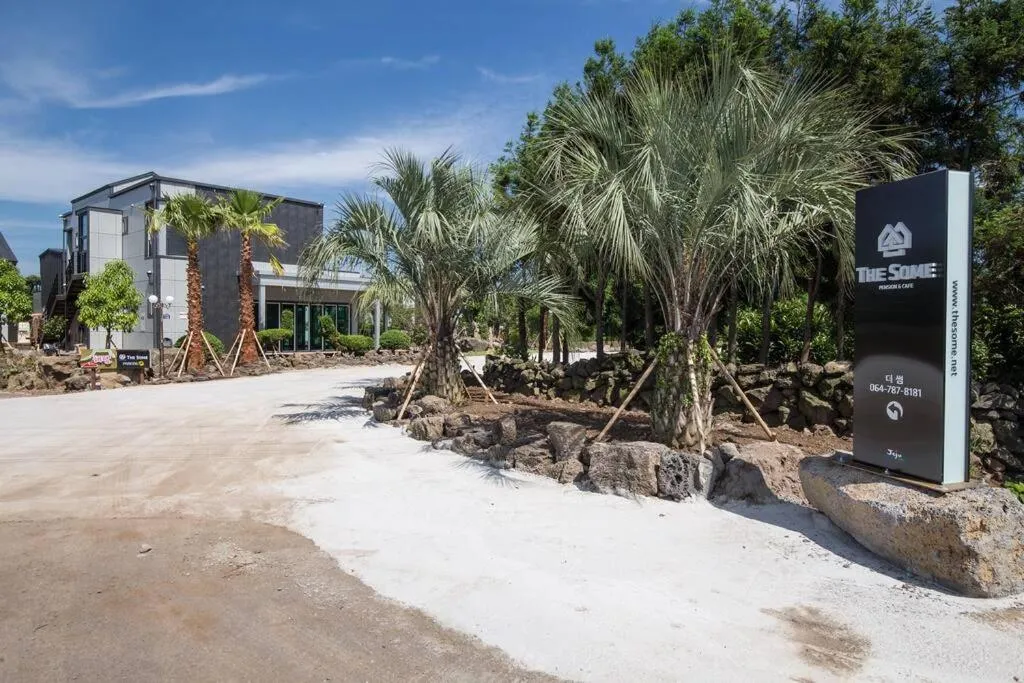 Garden in THE SOME PENSION