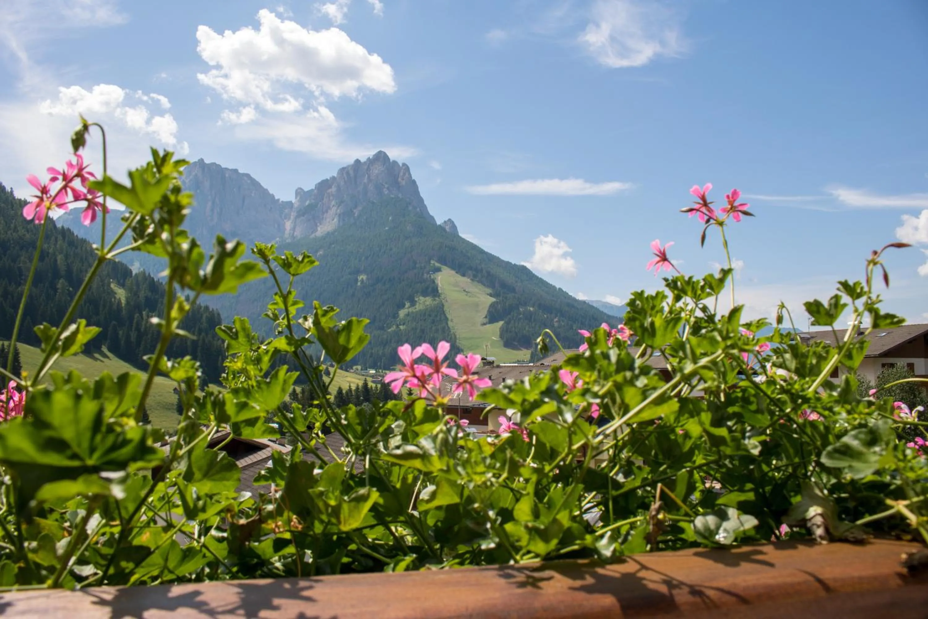 Day in Hotel Garnì Rosengarten