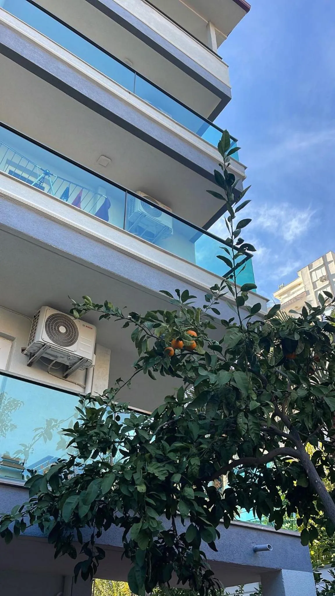 Garden in ABC Apart Hotel