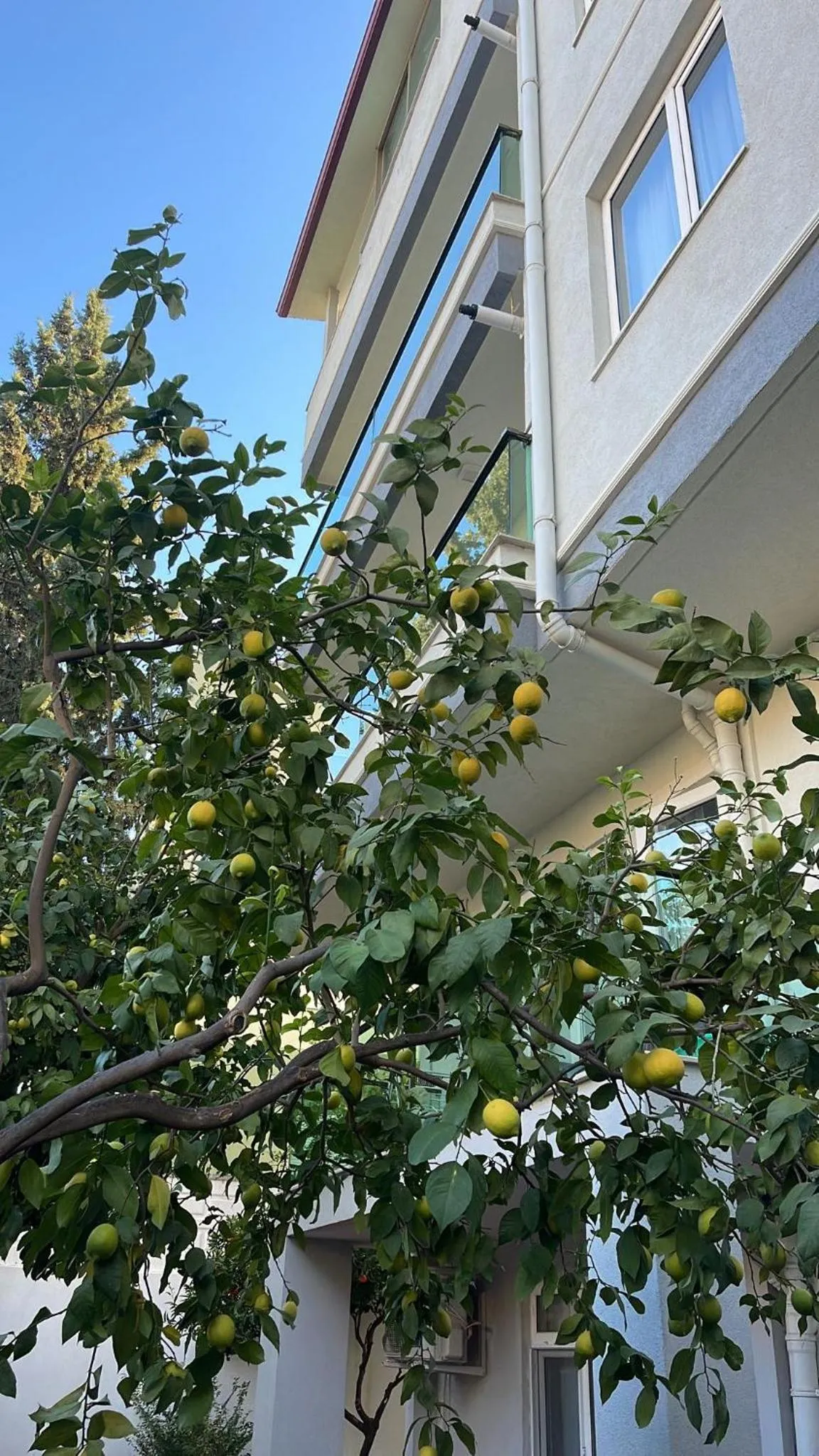 Property building in ABC Apart Hotel