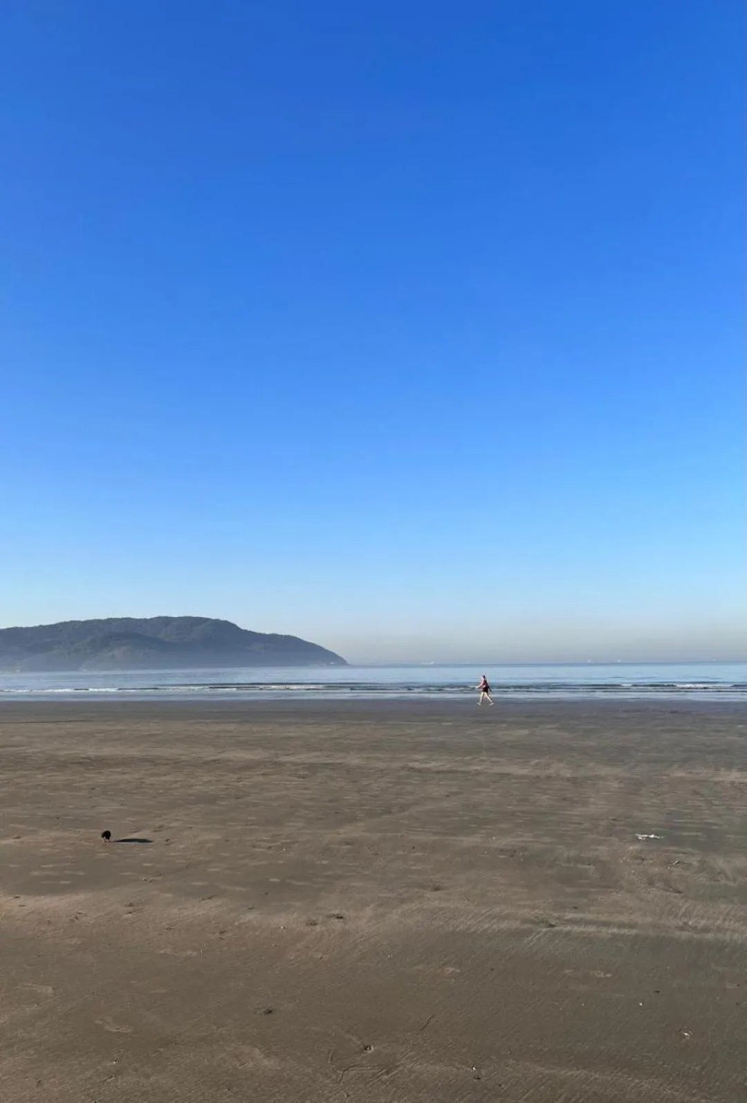 Beach in Cosmopolitan Praia Flat