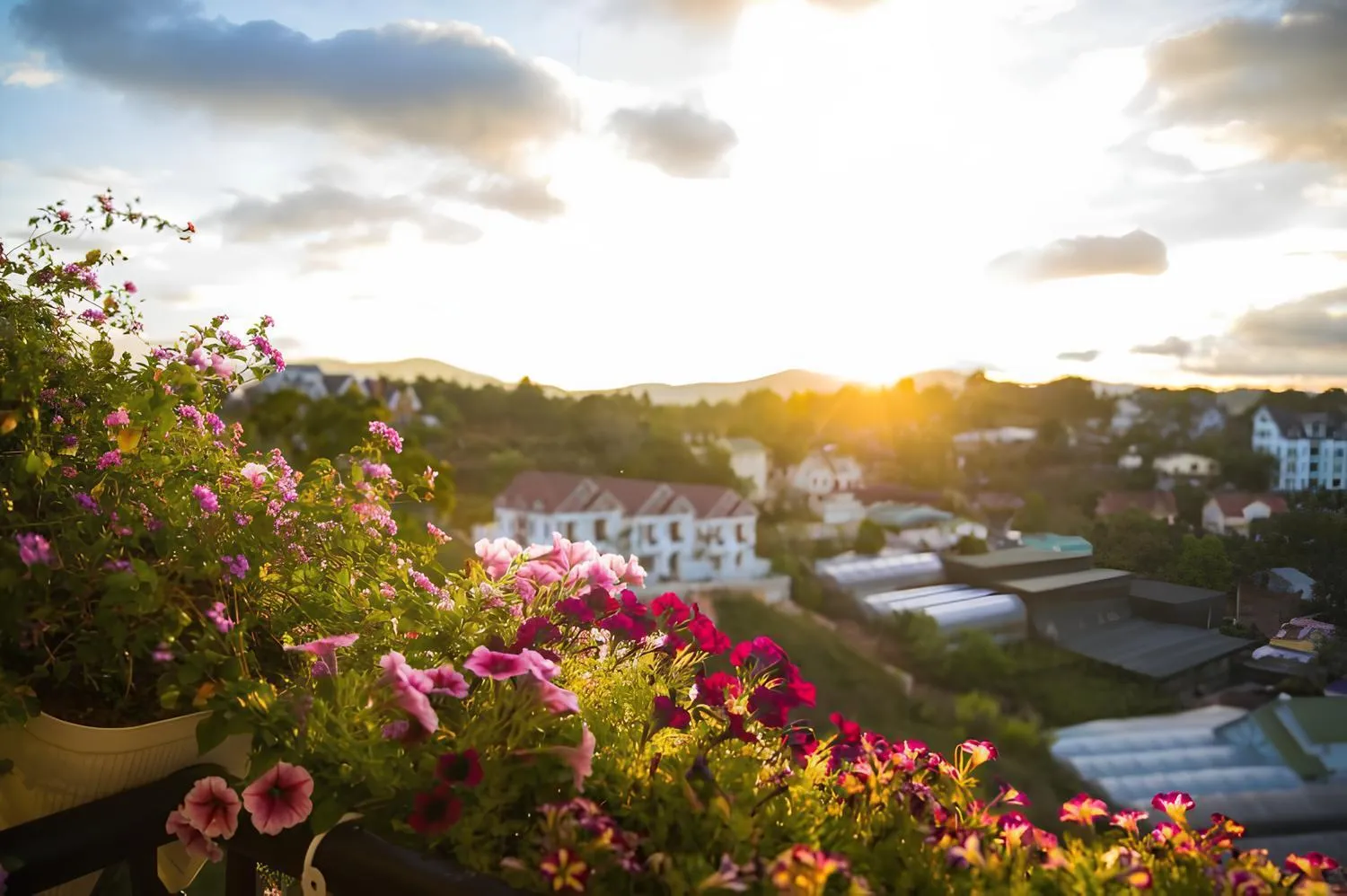 Sunrise in ECOTIME Villa Da Lat